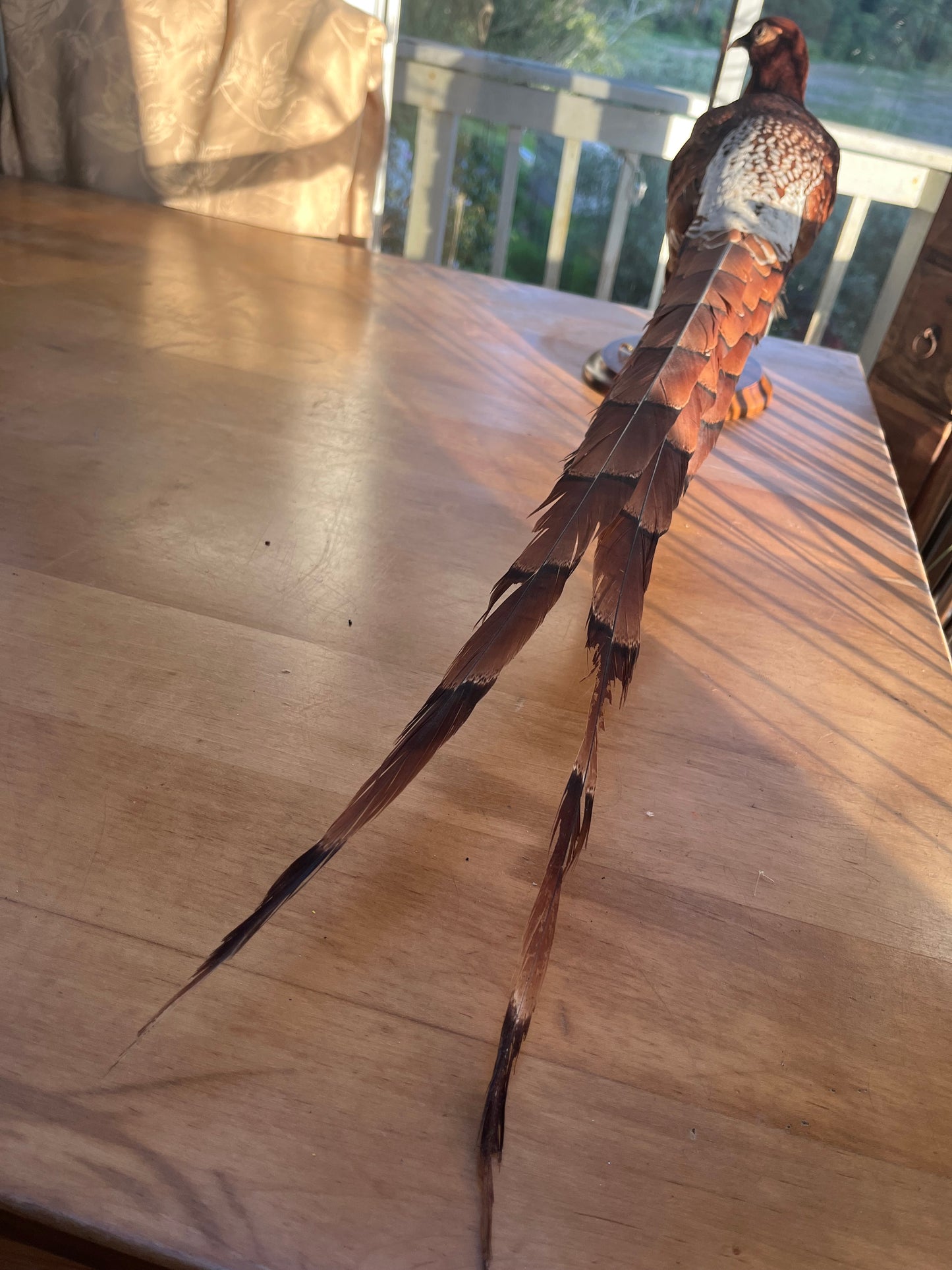 Vintage Copper Pheasant