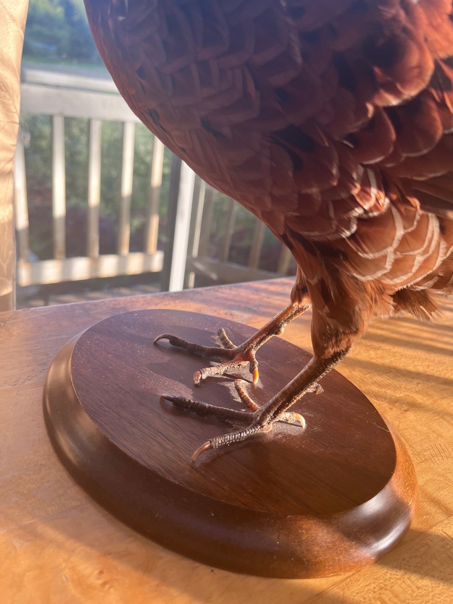 Vintage Copper Pheasant