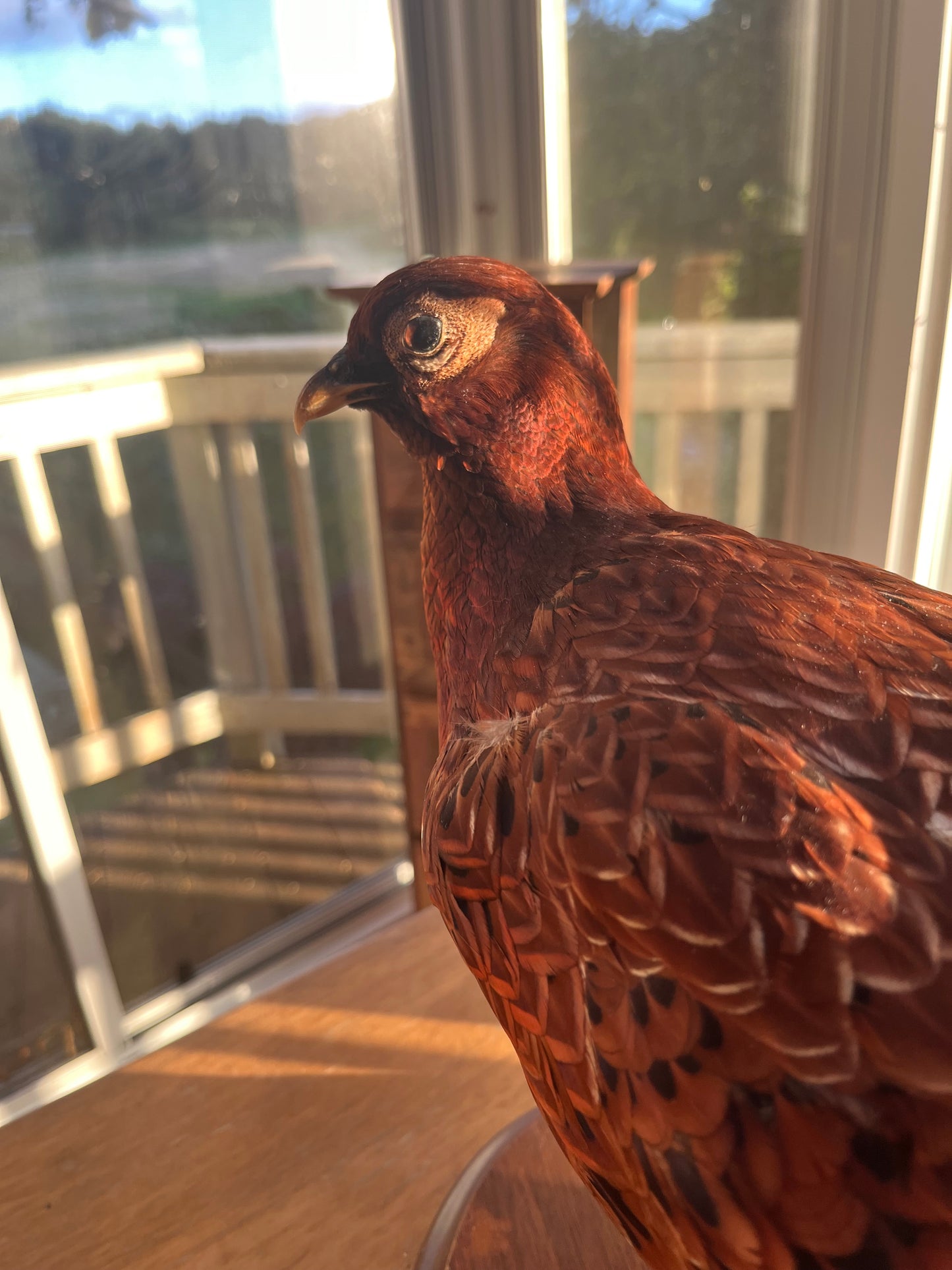 Vintage Copper Pheasant