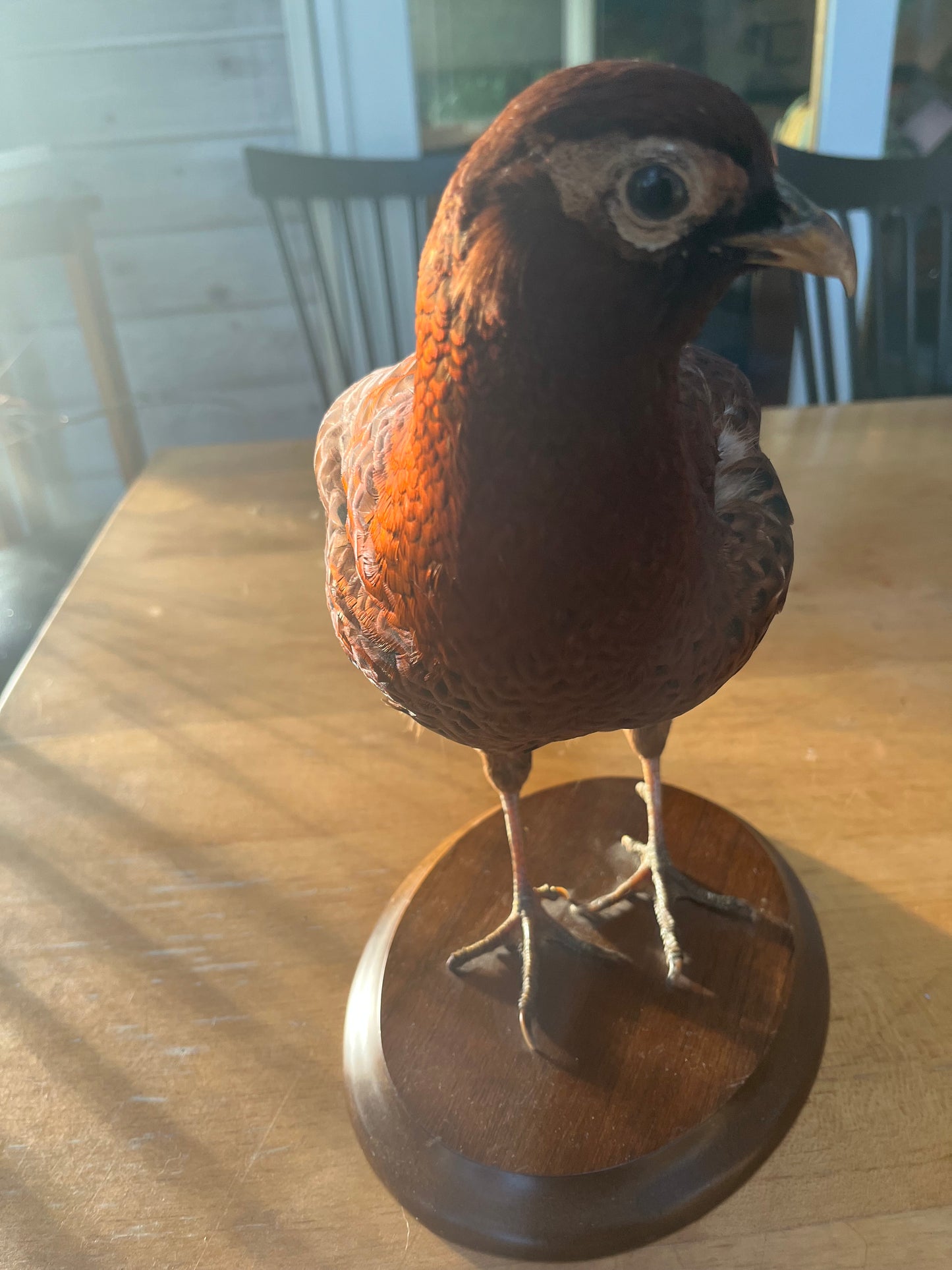 Vintage Copper Pheasant