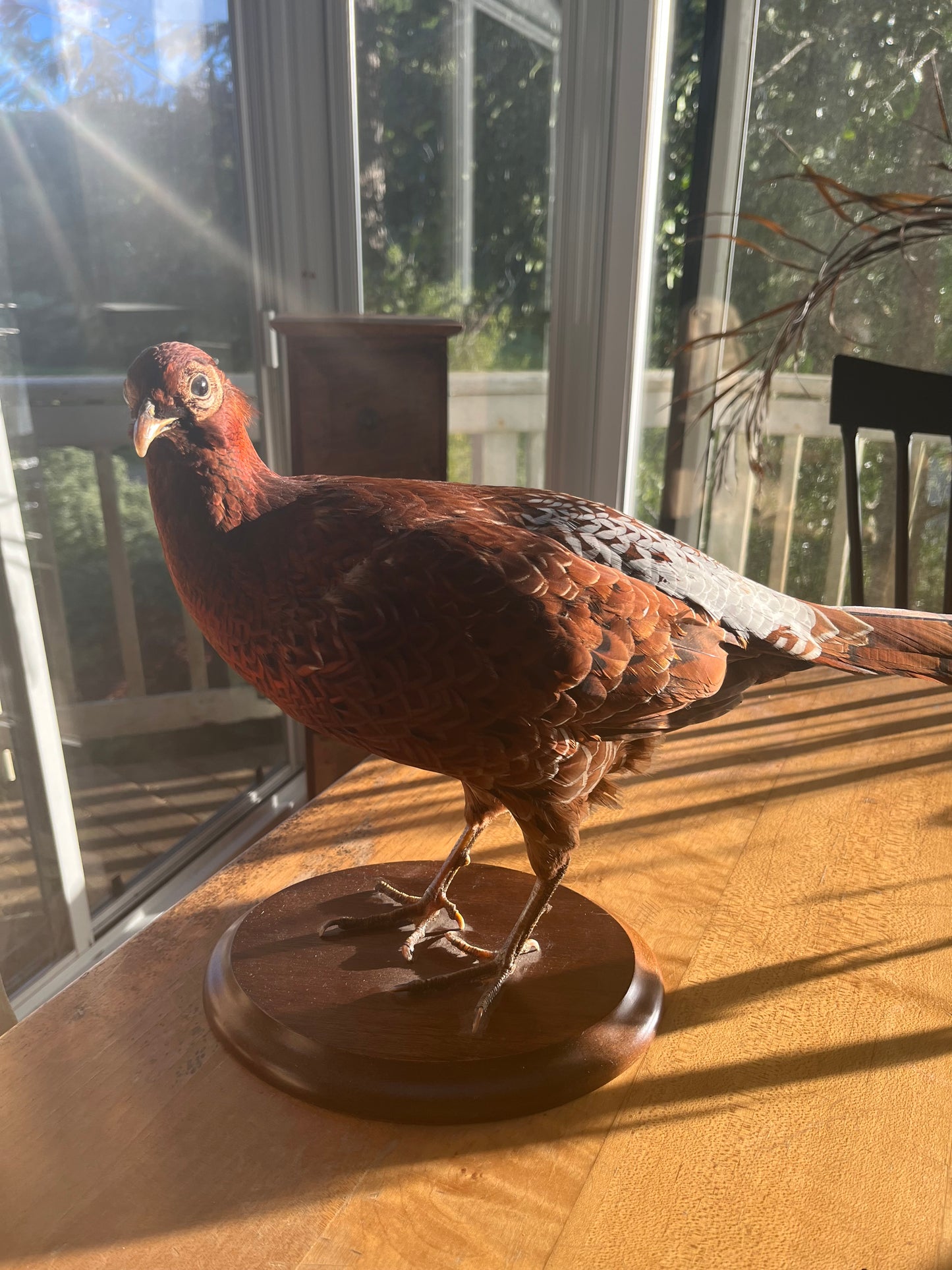 Vintage Copper Pheasant
