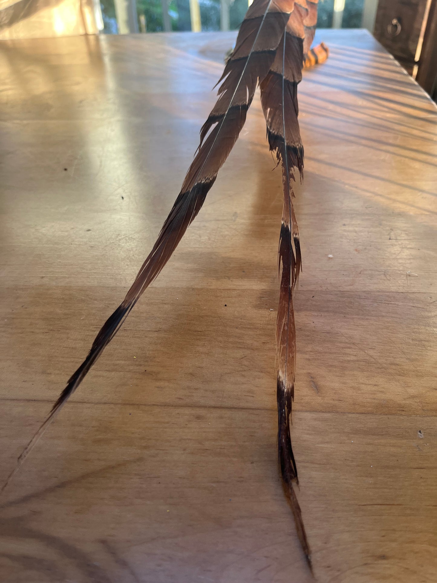 Vintage Copper Pheasant