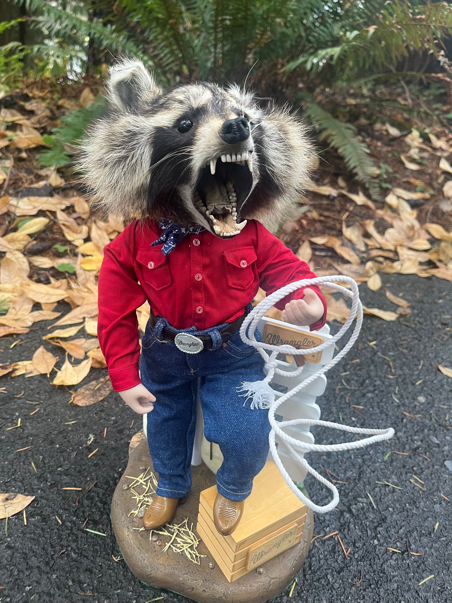 Cowboy Raccoon