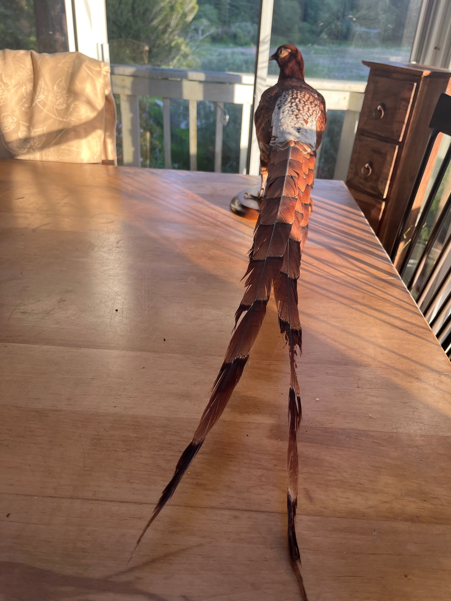 Vintage Copper Pheasant