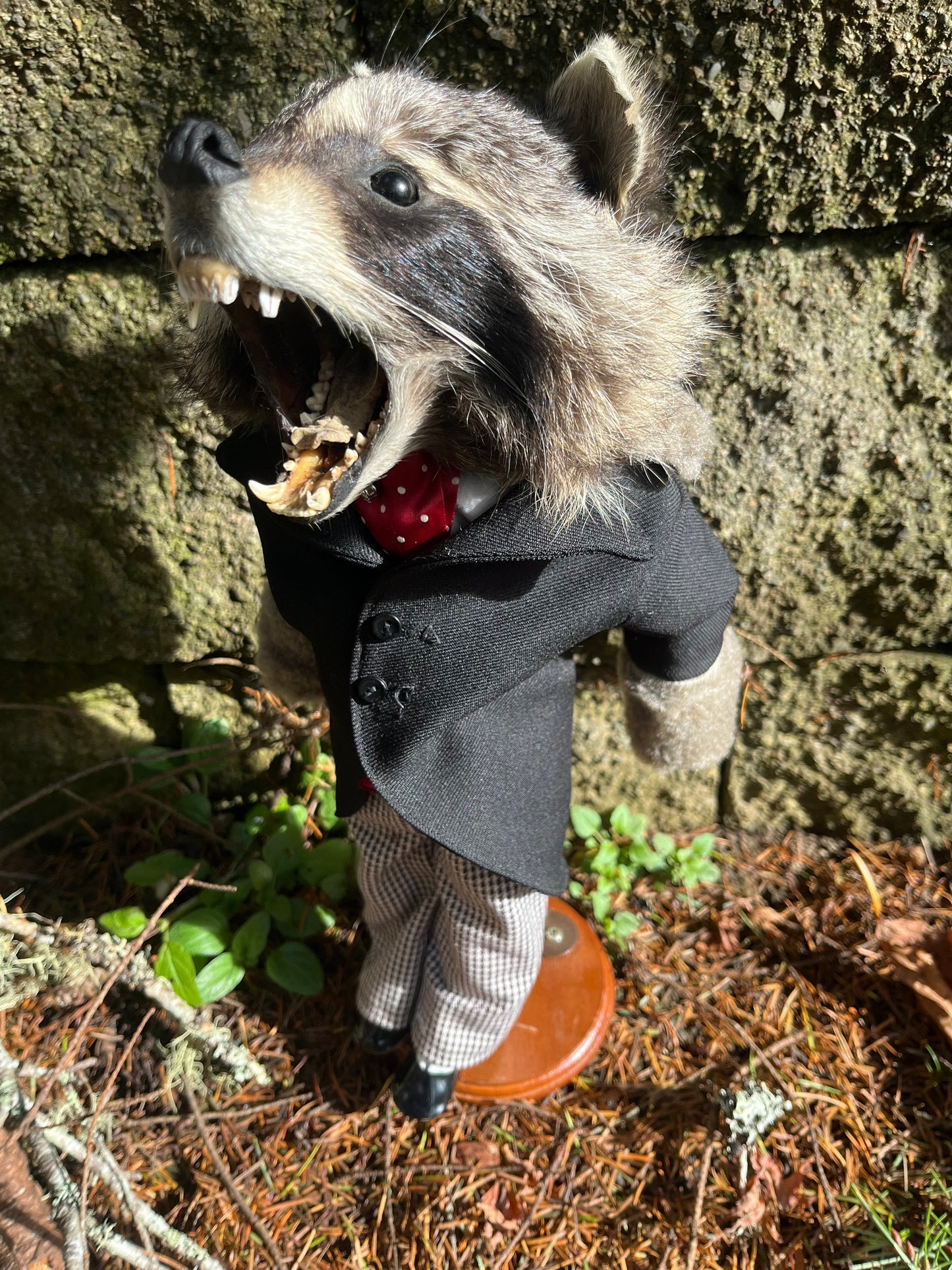 Tycoon Raccoon