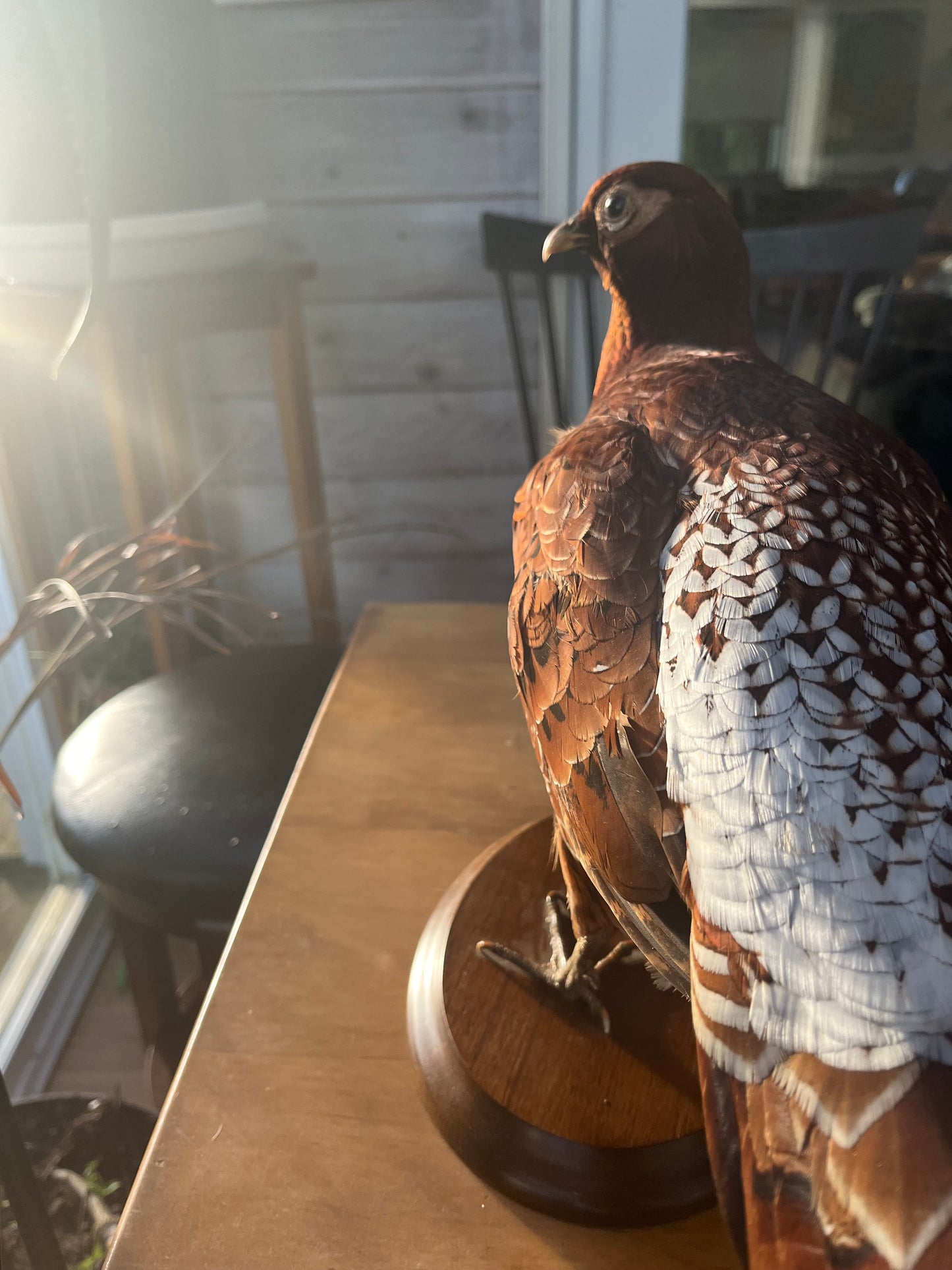 Vintage Copper Pheasant