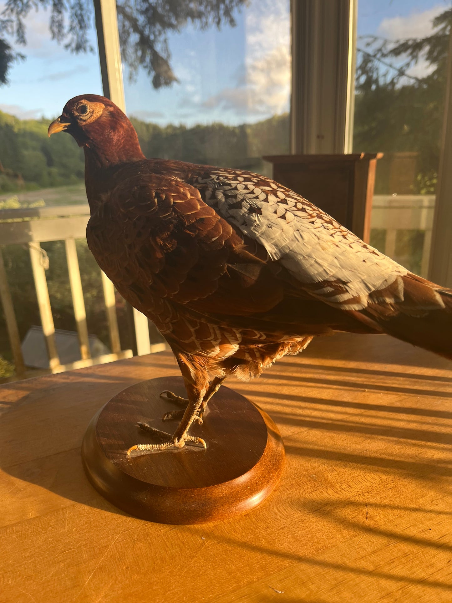Vintage Copper Pheasant