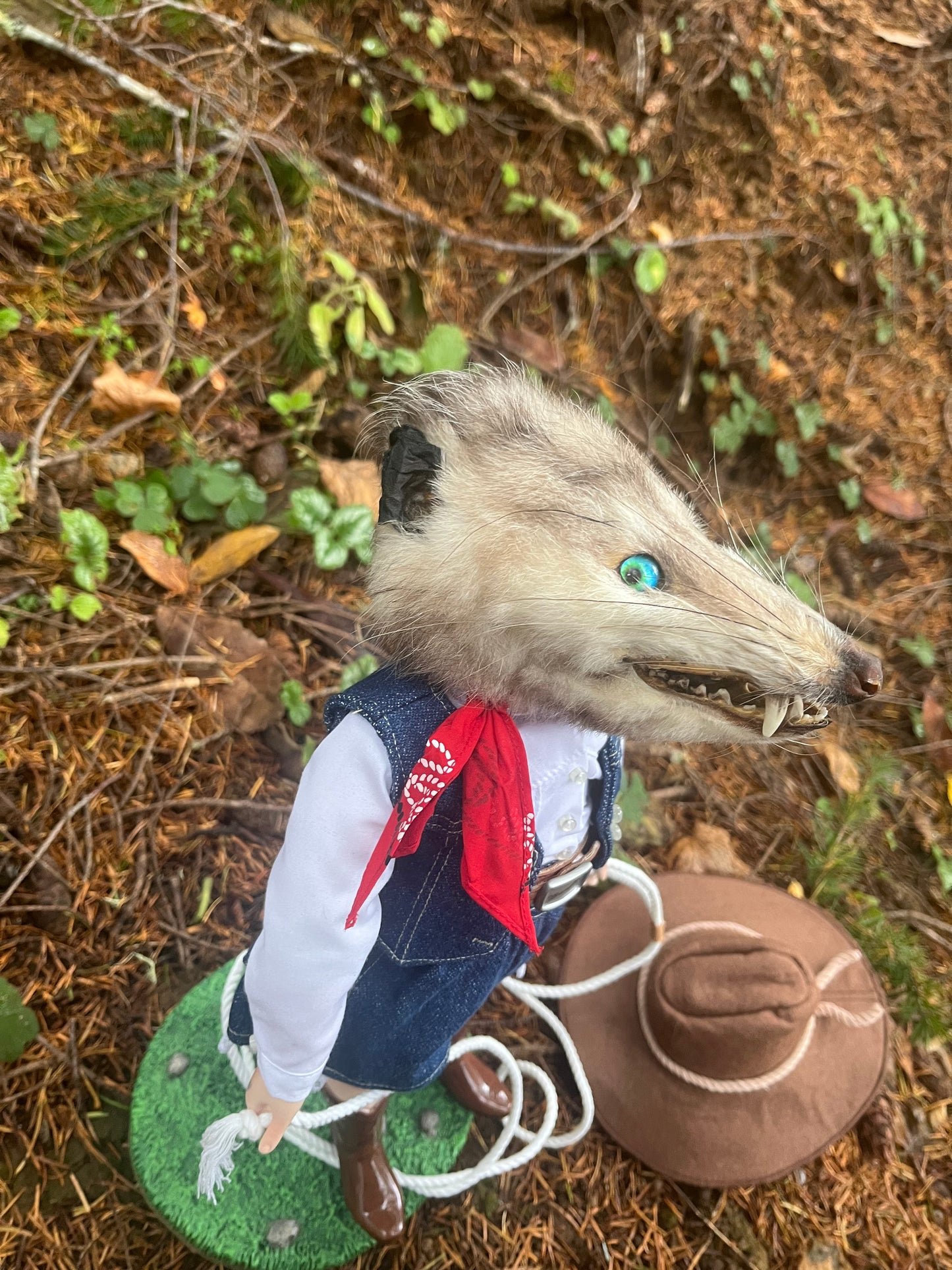 Opossum Cowgirl
