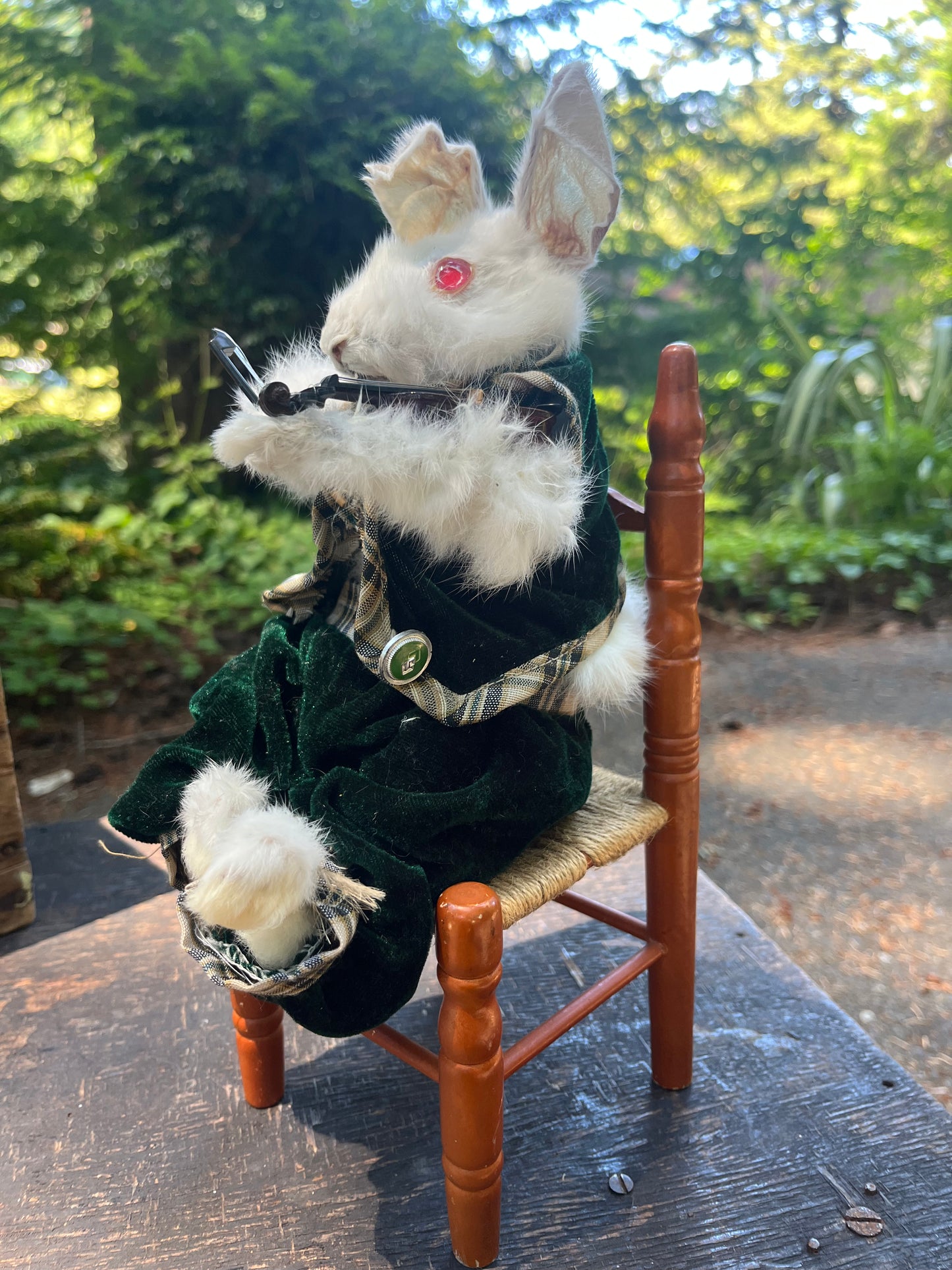 Rabbit with a violin