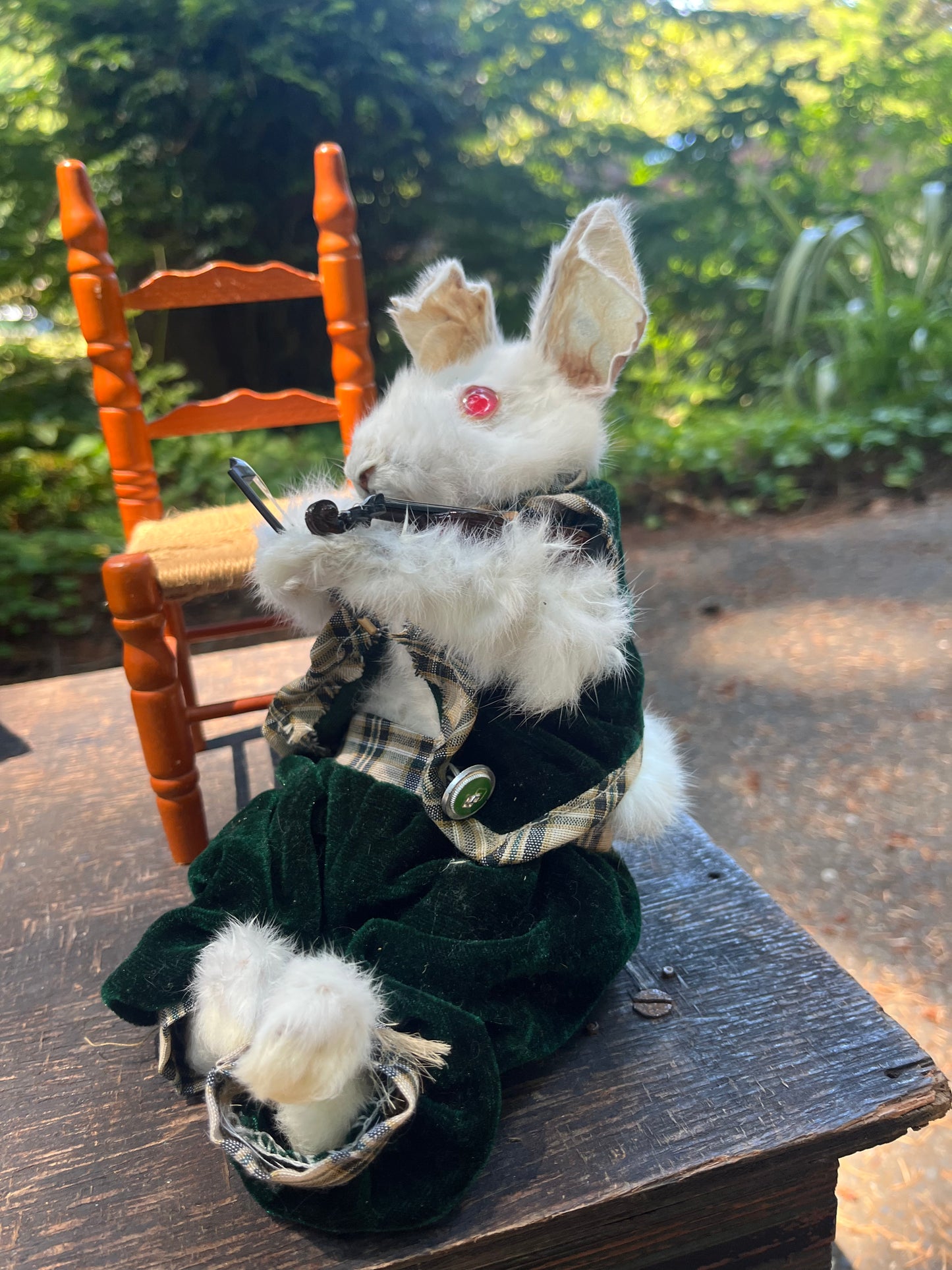 Rabbit with a violin