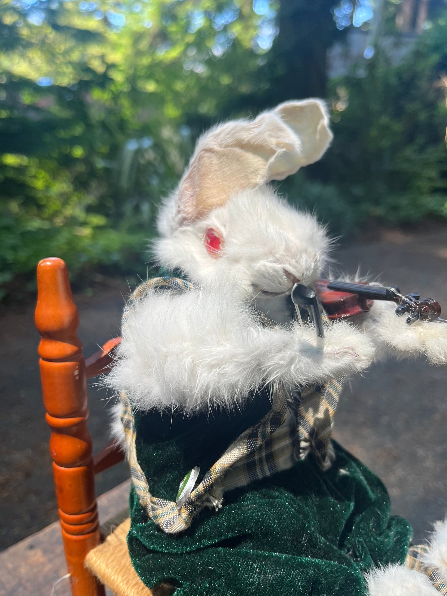 Rabbit with a violin
