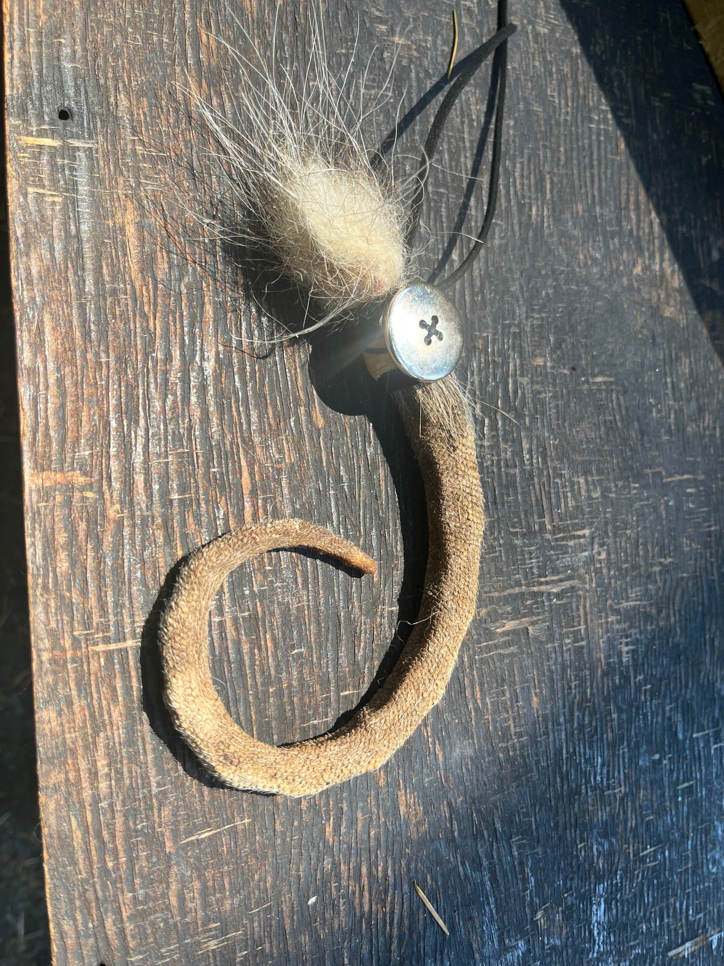 Oppossum tail