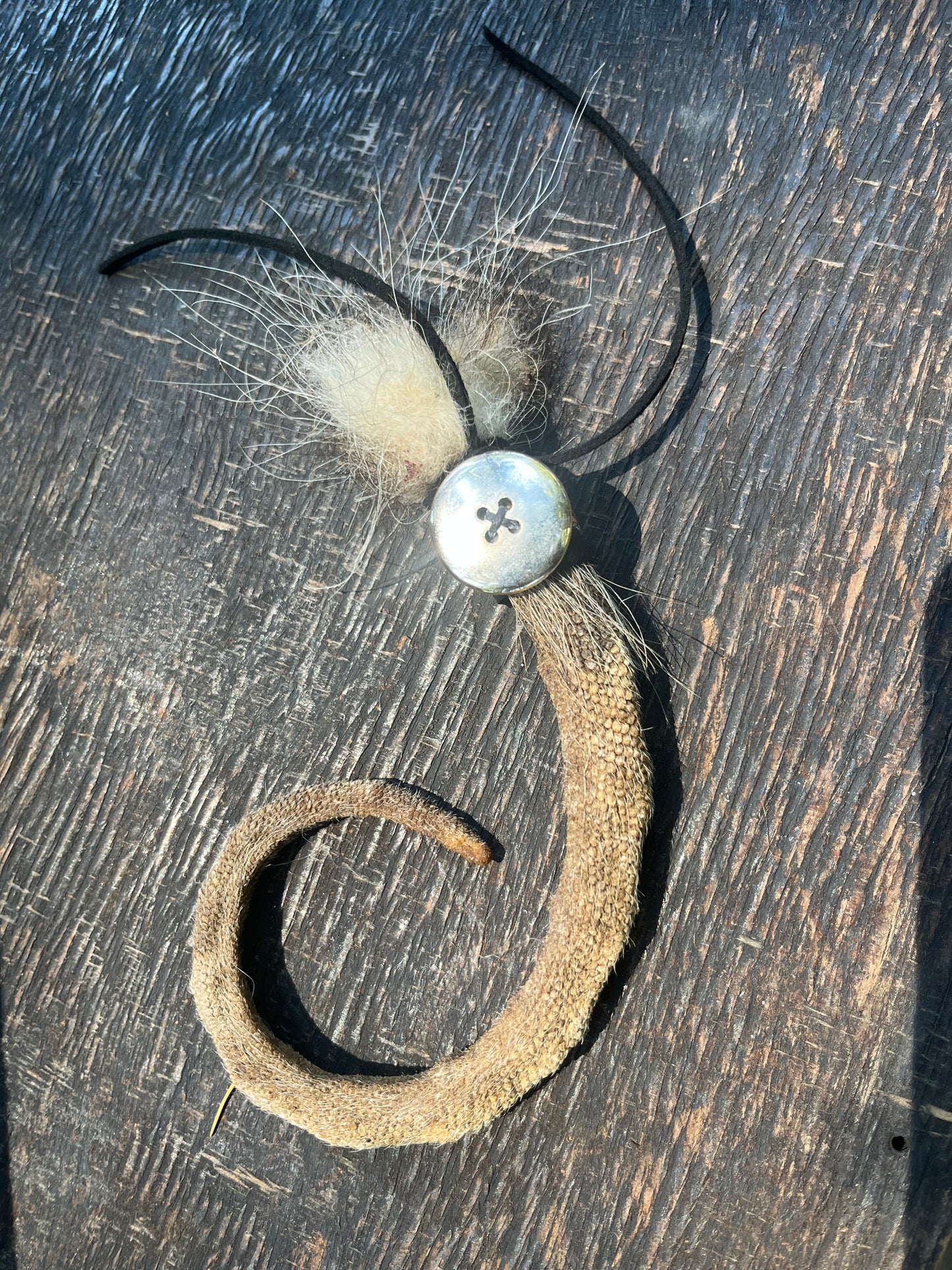 Oppossum tail