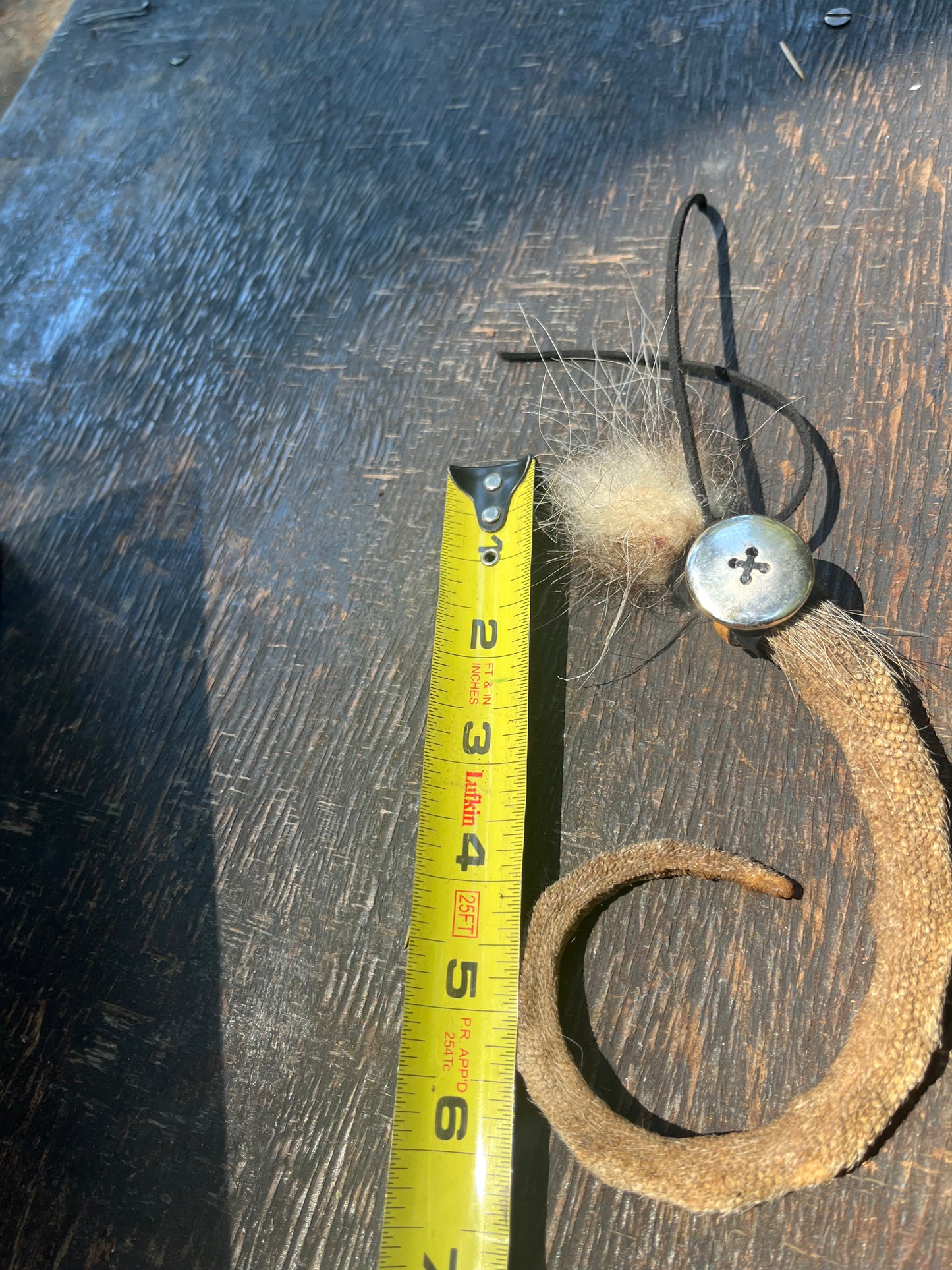 Oppossum tail