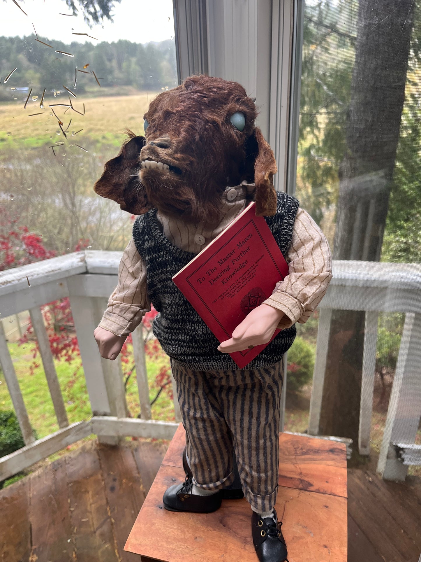 Taxidermy Art Doll Goat