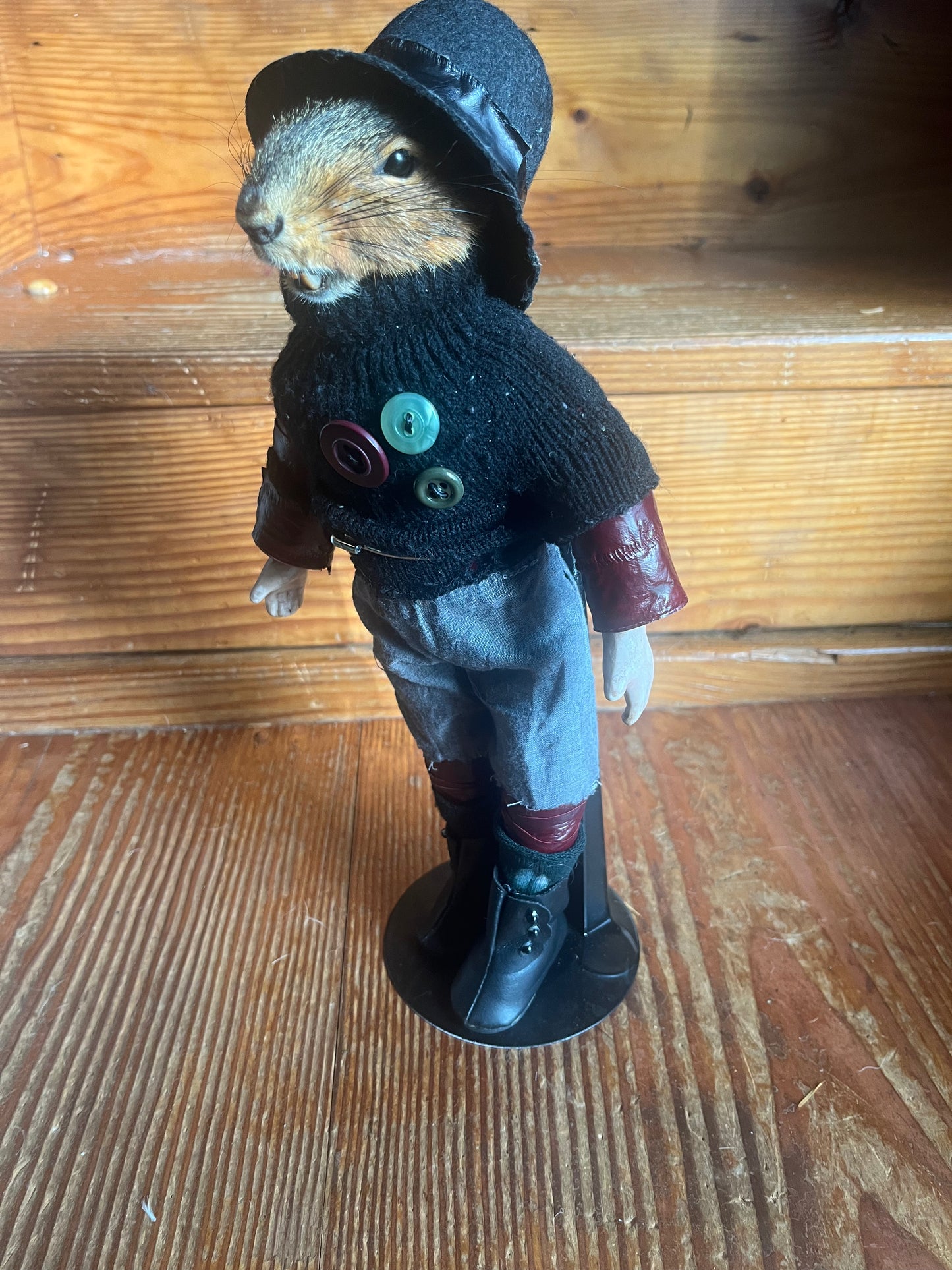 Wasteland cavalry 76 squirrel