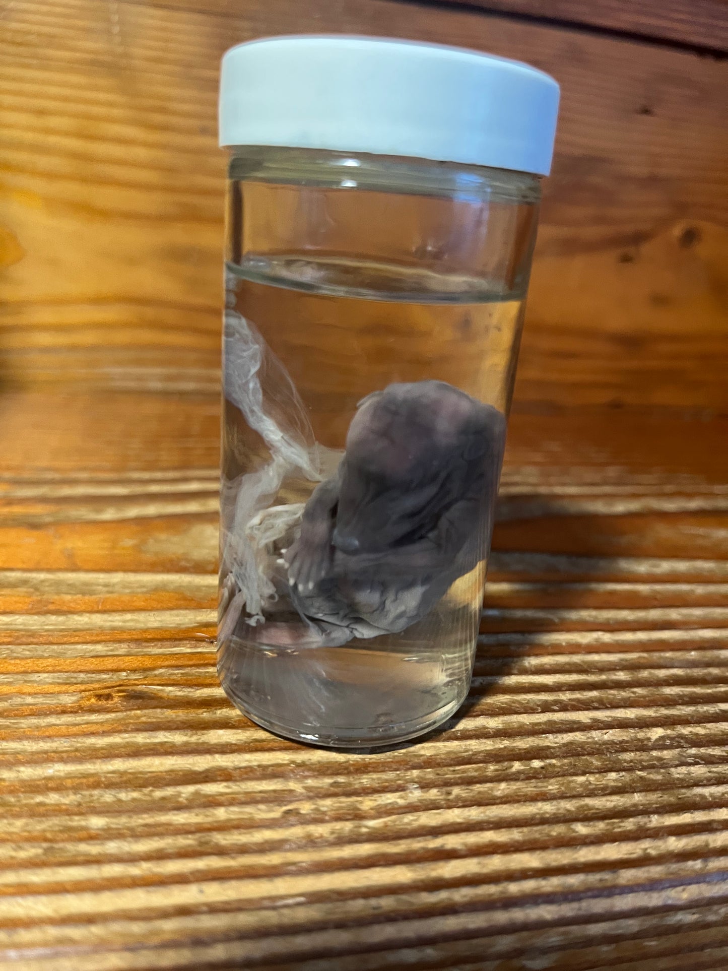 Untitled Nov23_15:14