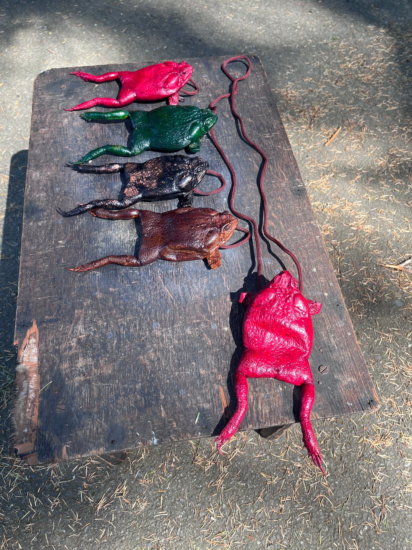 Cane Toad Purse