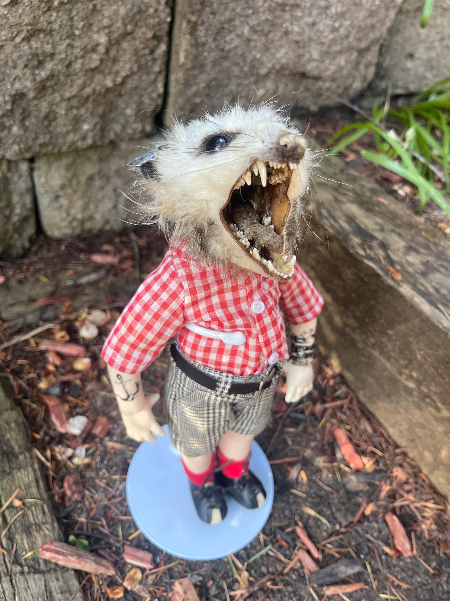 Hardcore opossum
