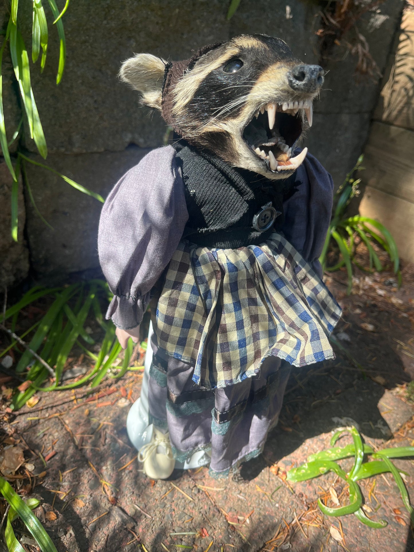 Taxidermy Art doll: raccoon