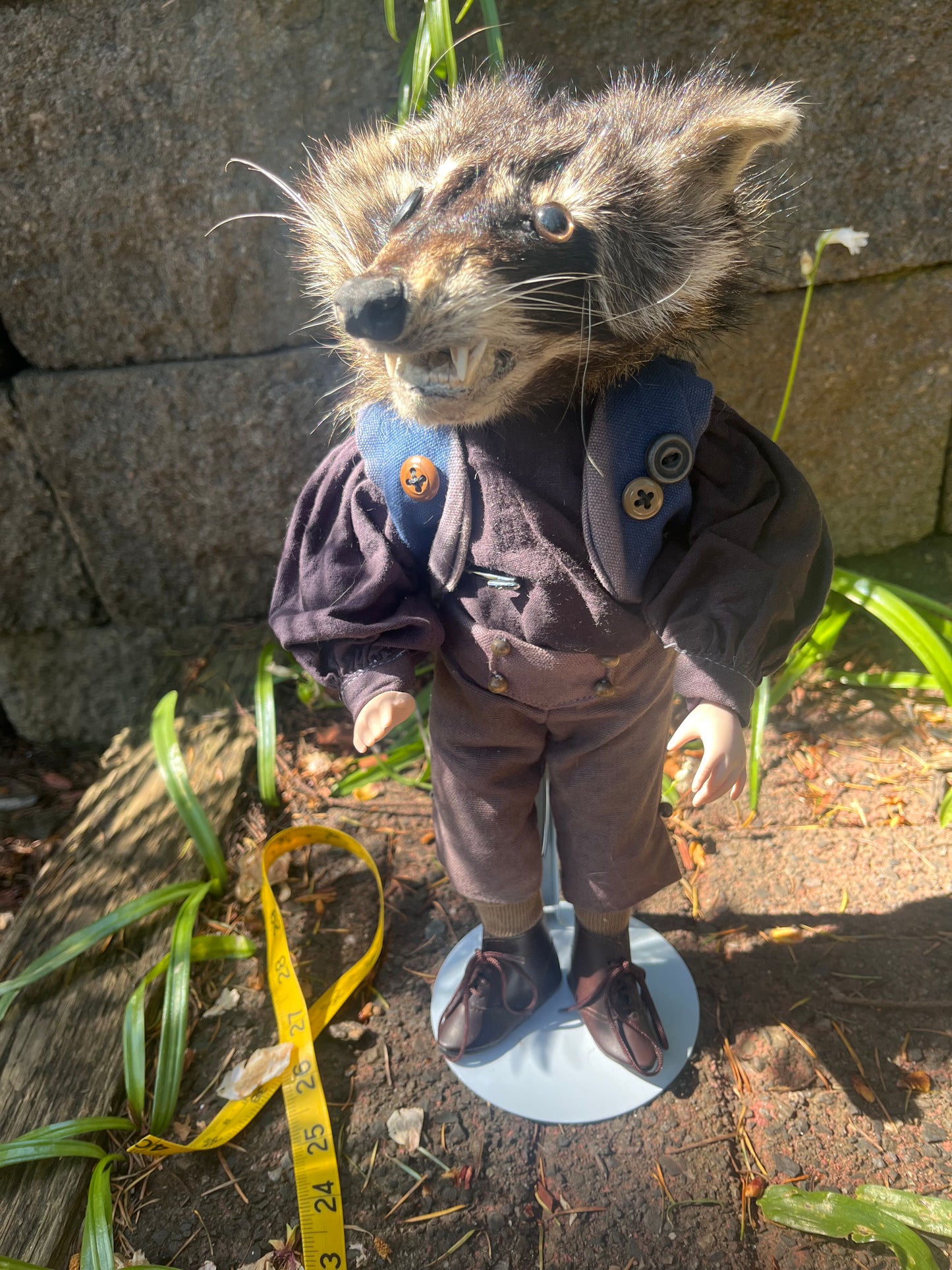 Button Eye Raccoon