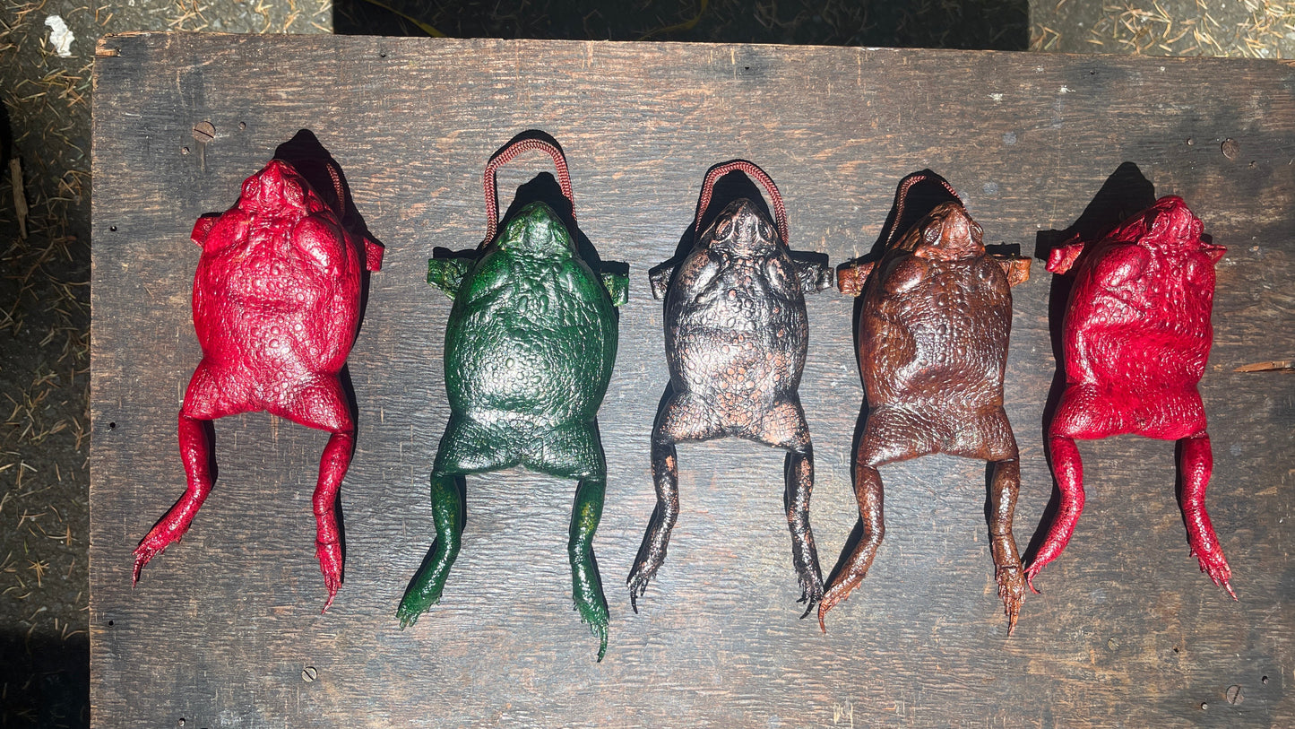 Cane Toad Purse