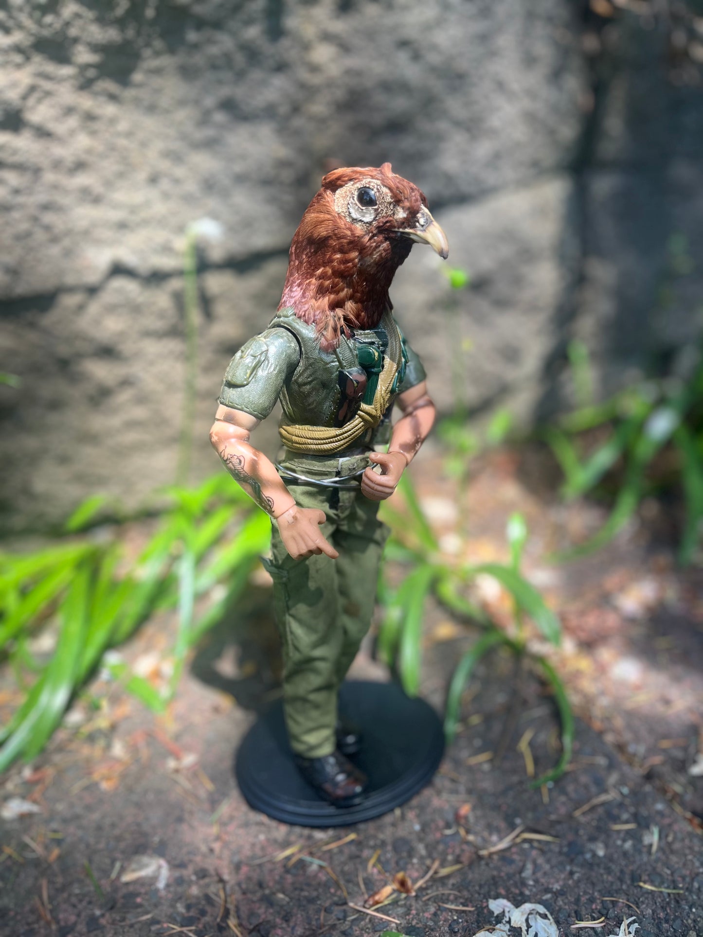 GI Joe Pheasant