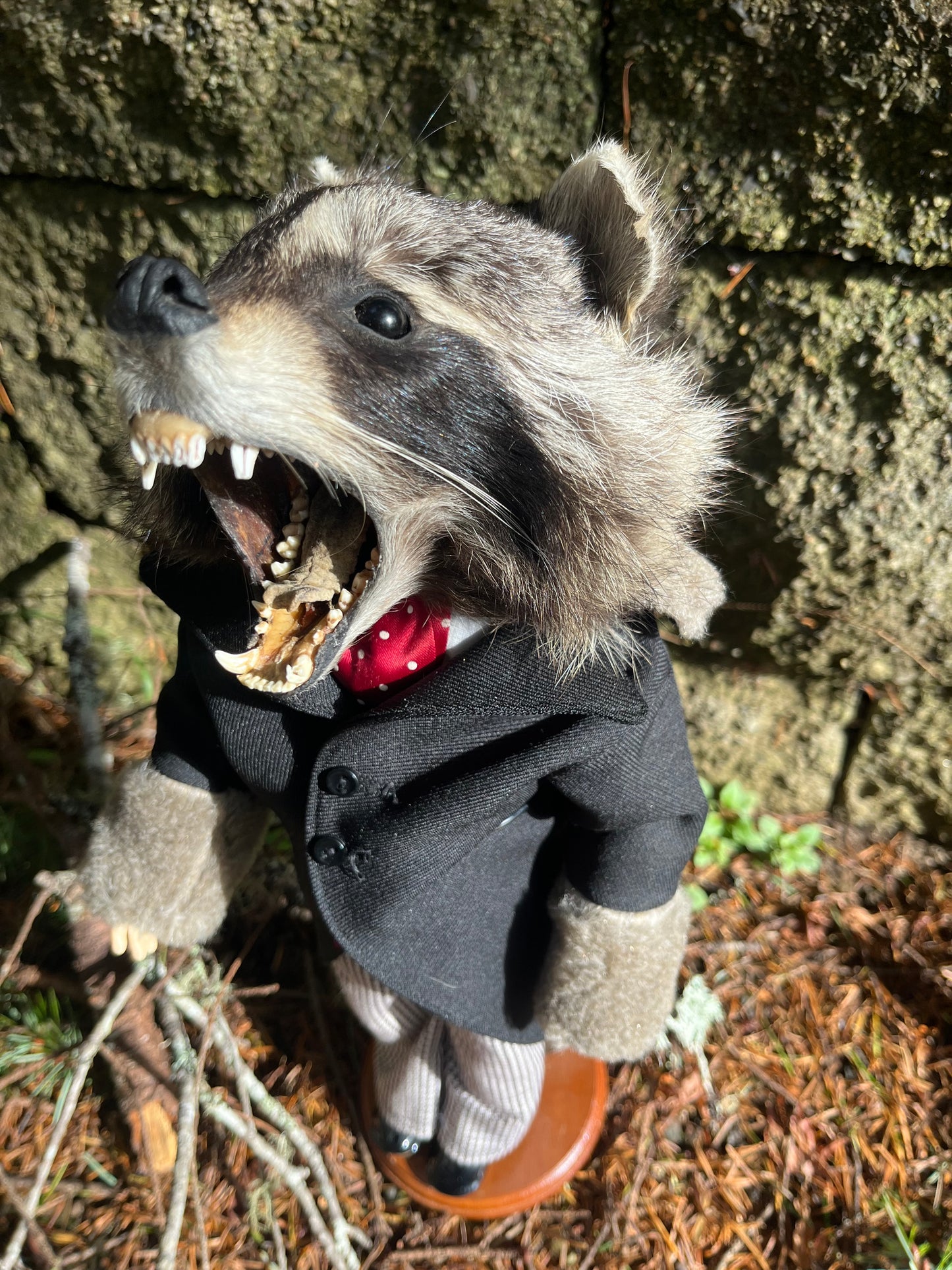 Tycoon Raccoon