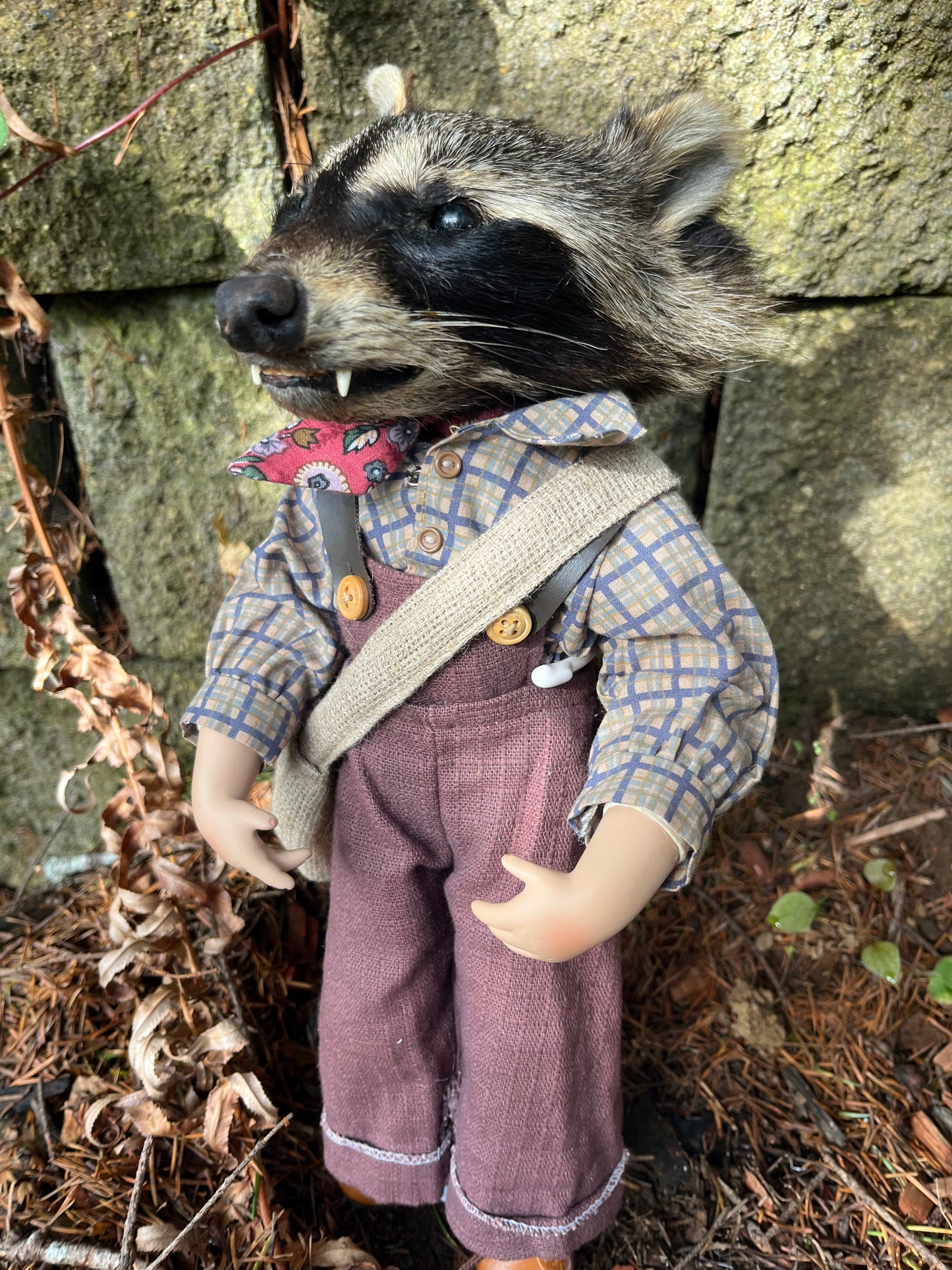 Old school raccoon