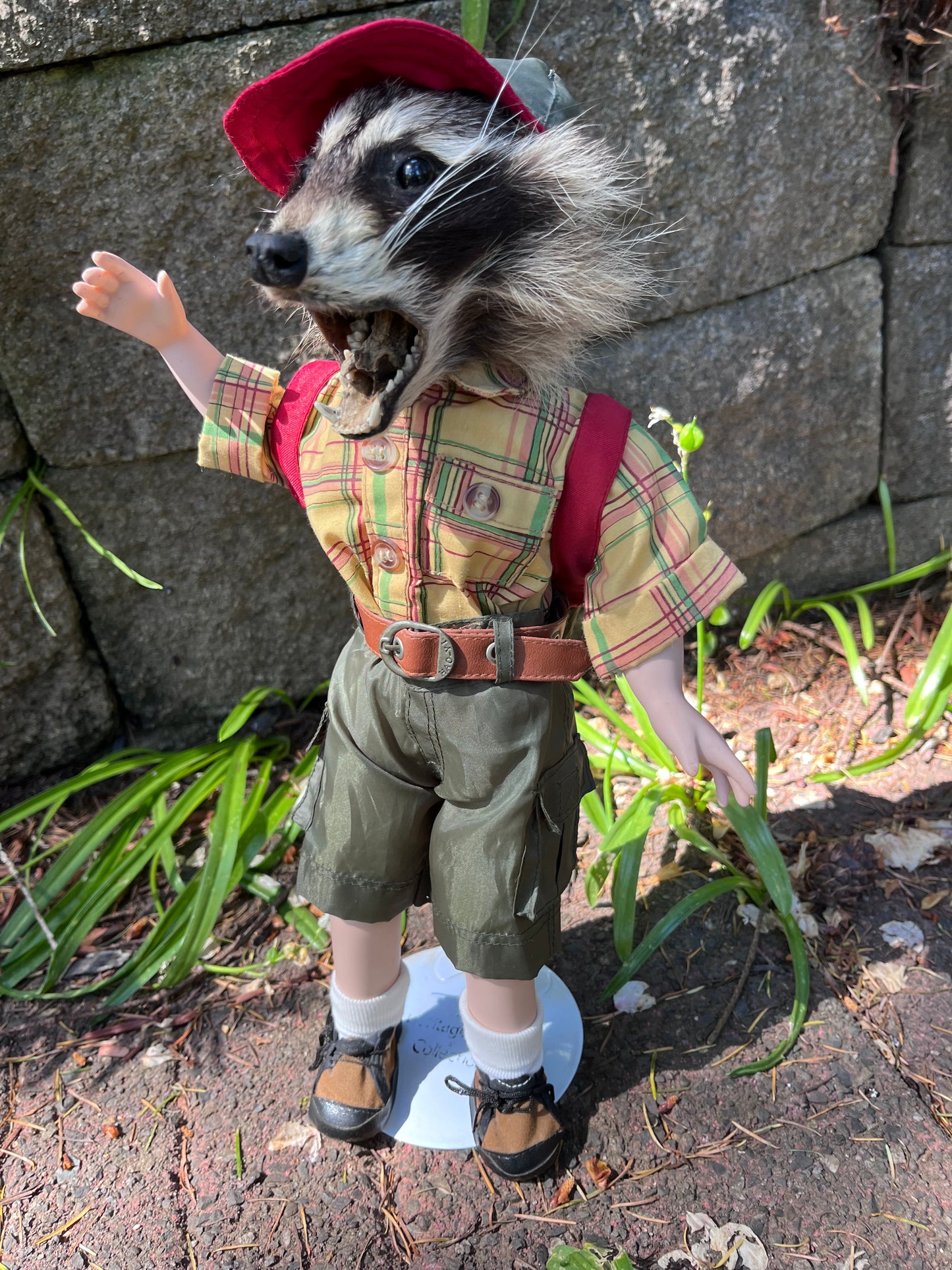 Lil camper raccoon