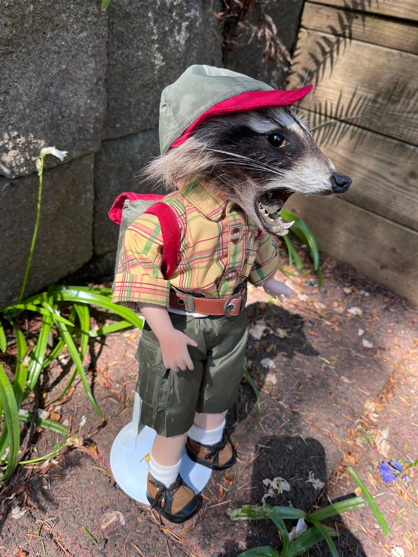 Lil camper raccoon