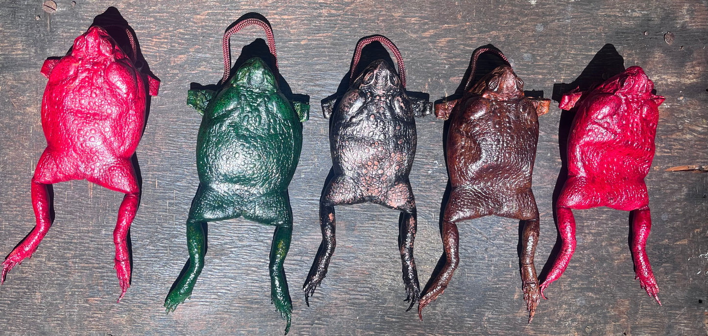 Cane Toad Purse