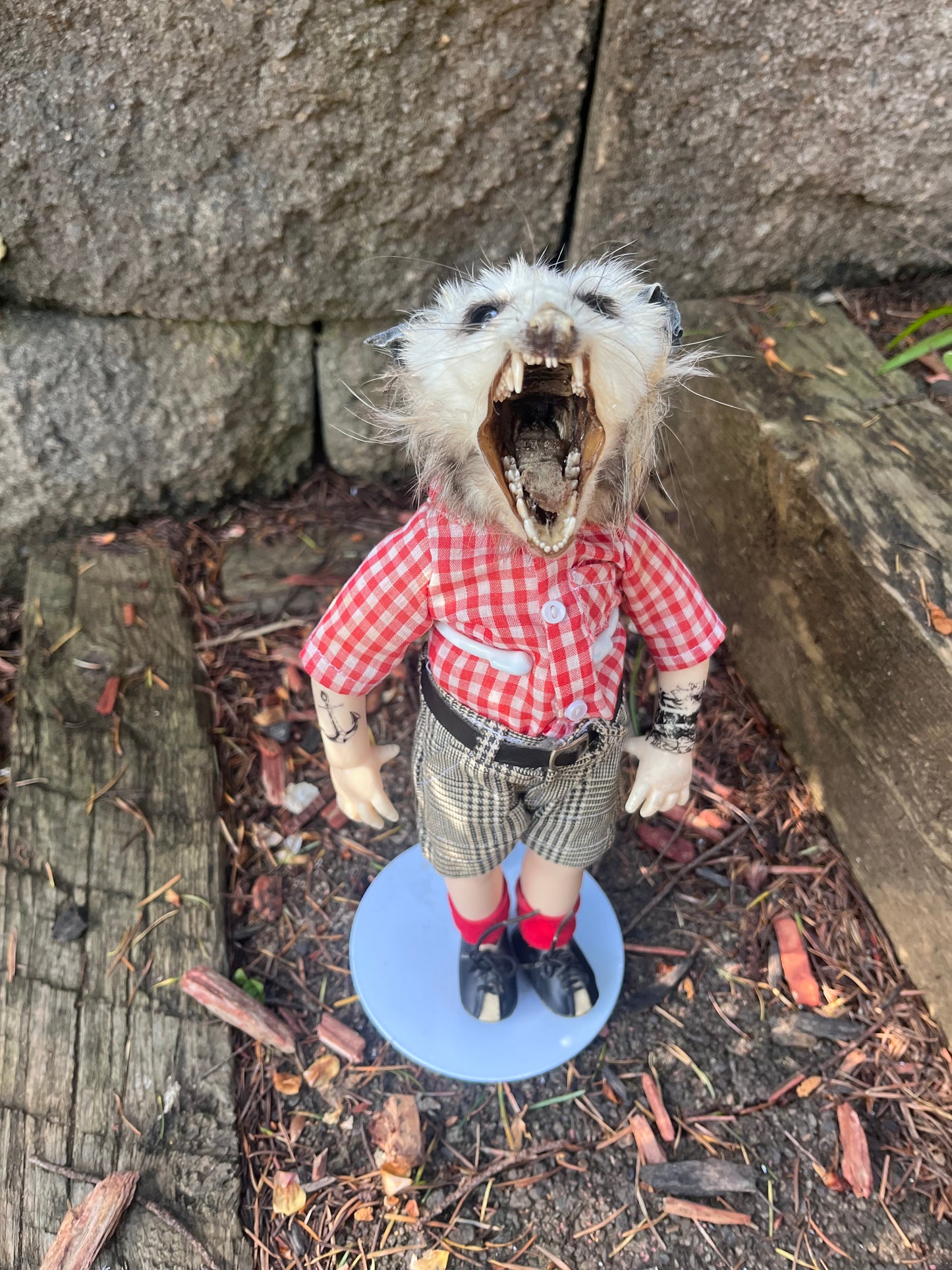 Hardcore opossum