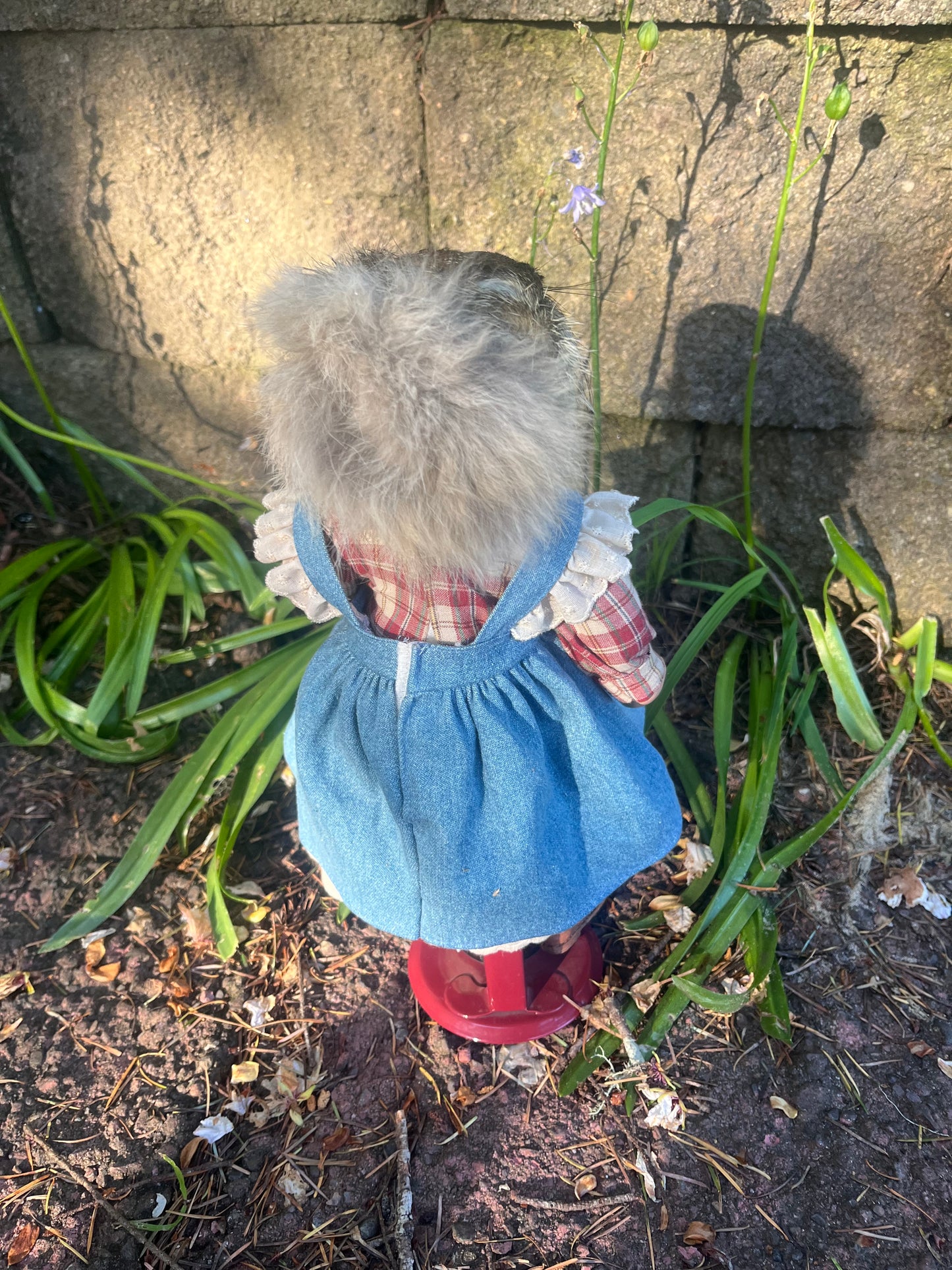 Maisy