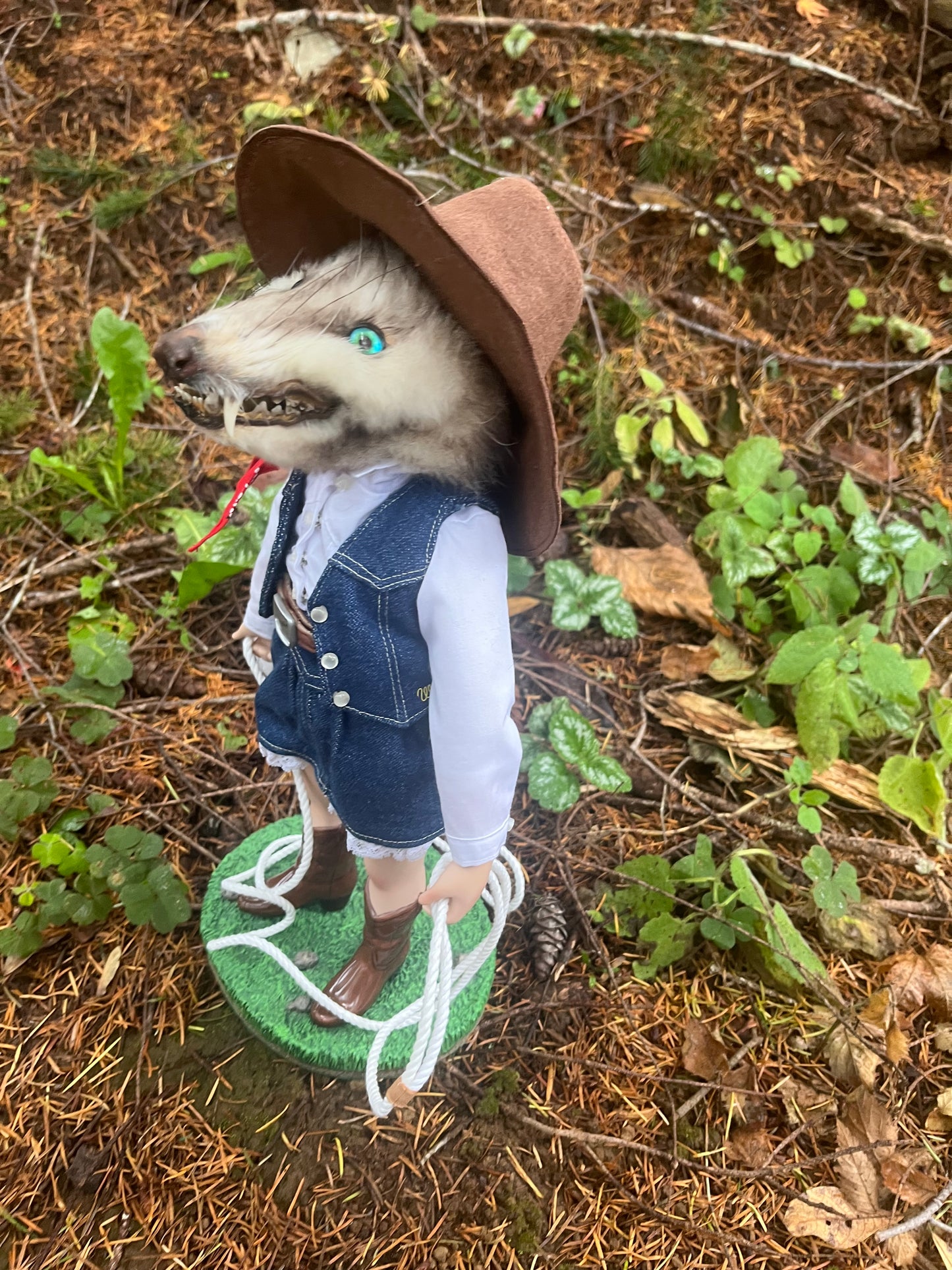 Opossum Cowgirl