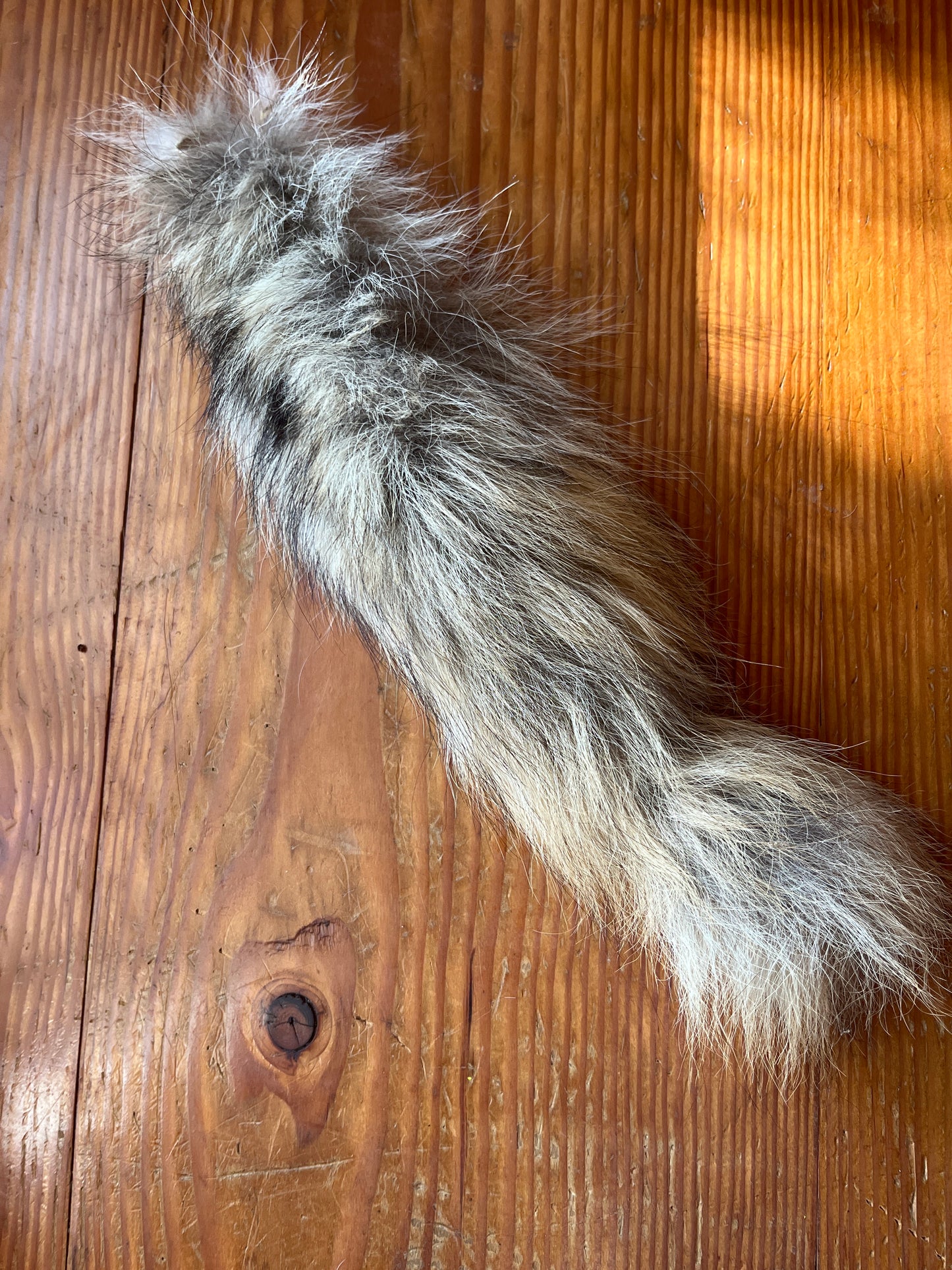 Craft grade coyote tail