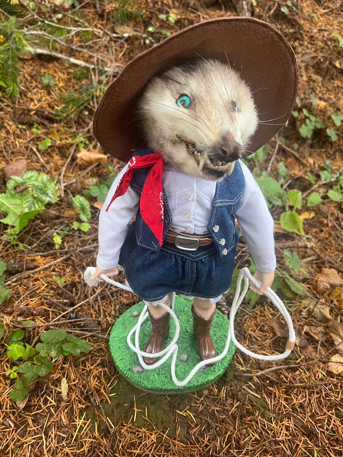 Opossum Cowgirl