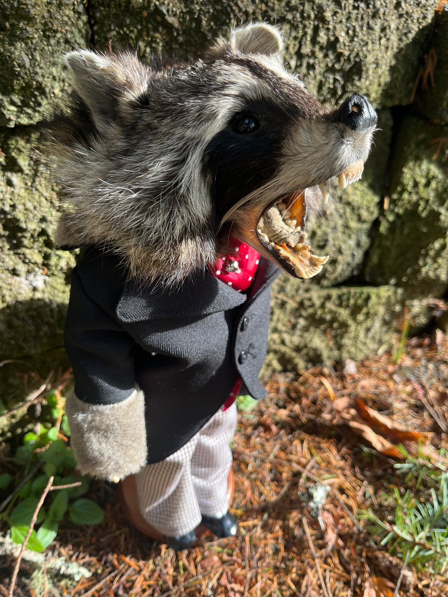 Tycoon Raccoon
