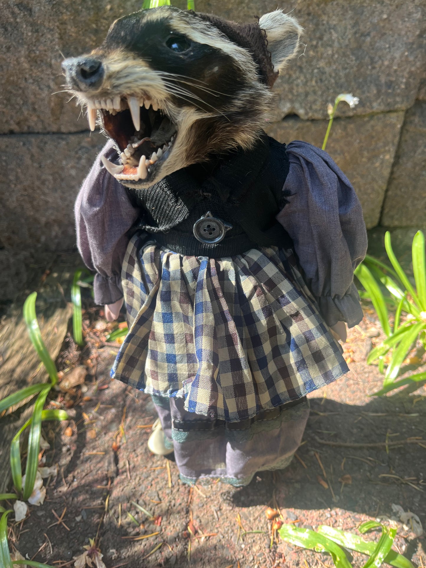 Taxidermy Art doll: raccoon