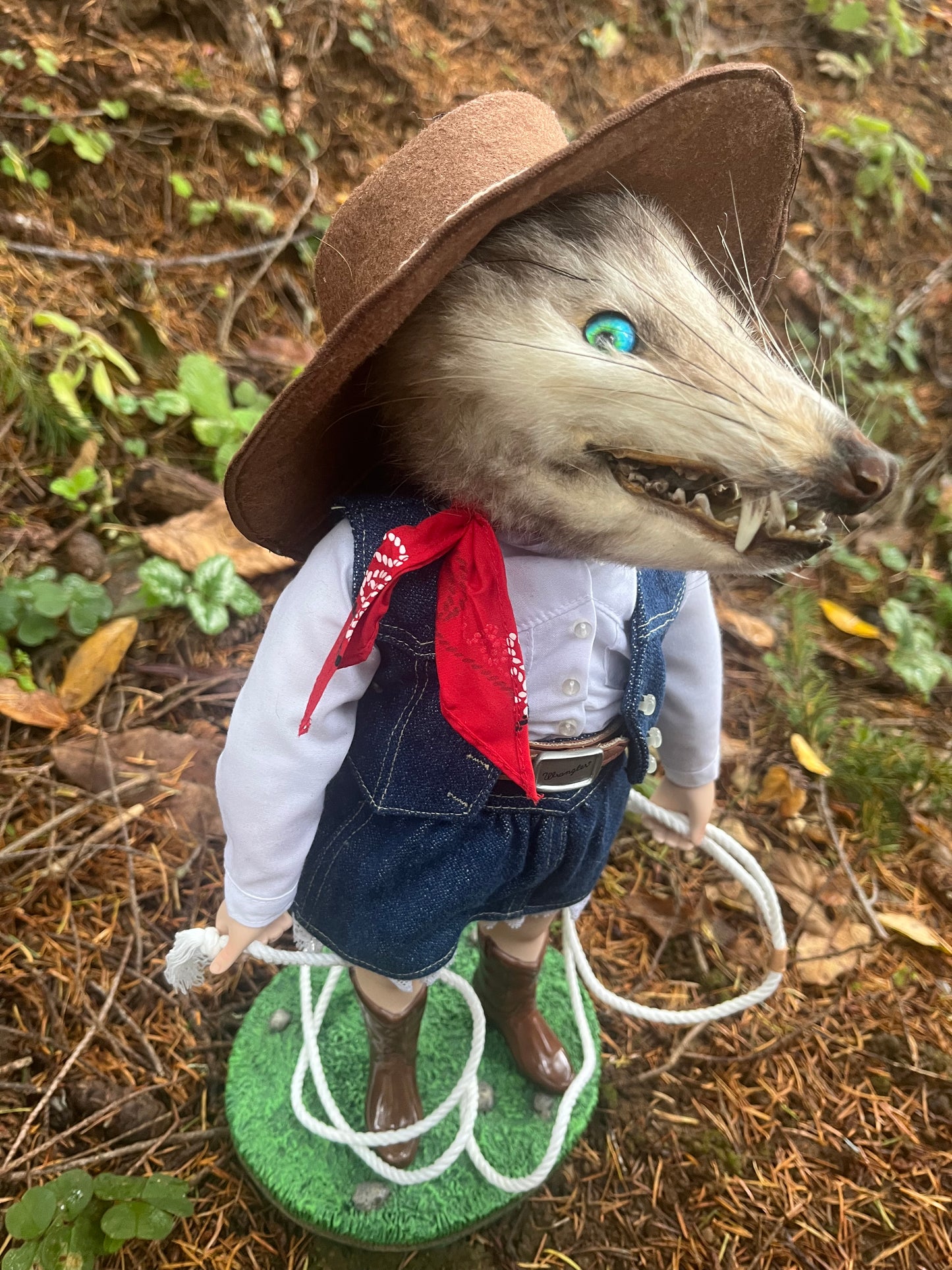 Opossum Cowgirl