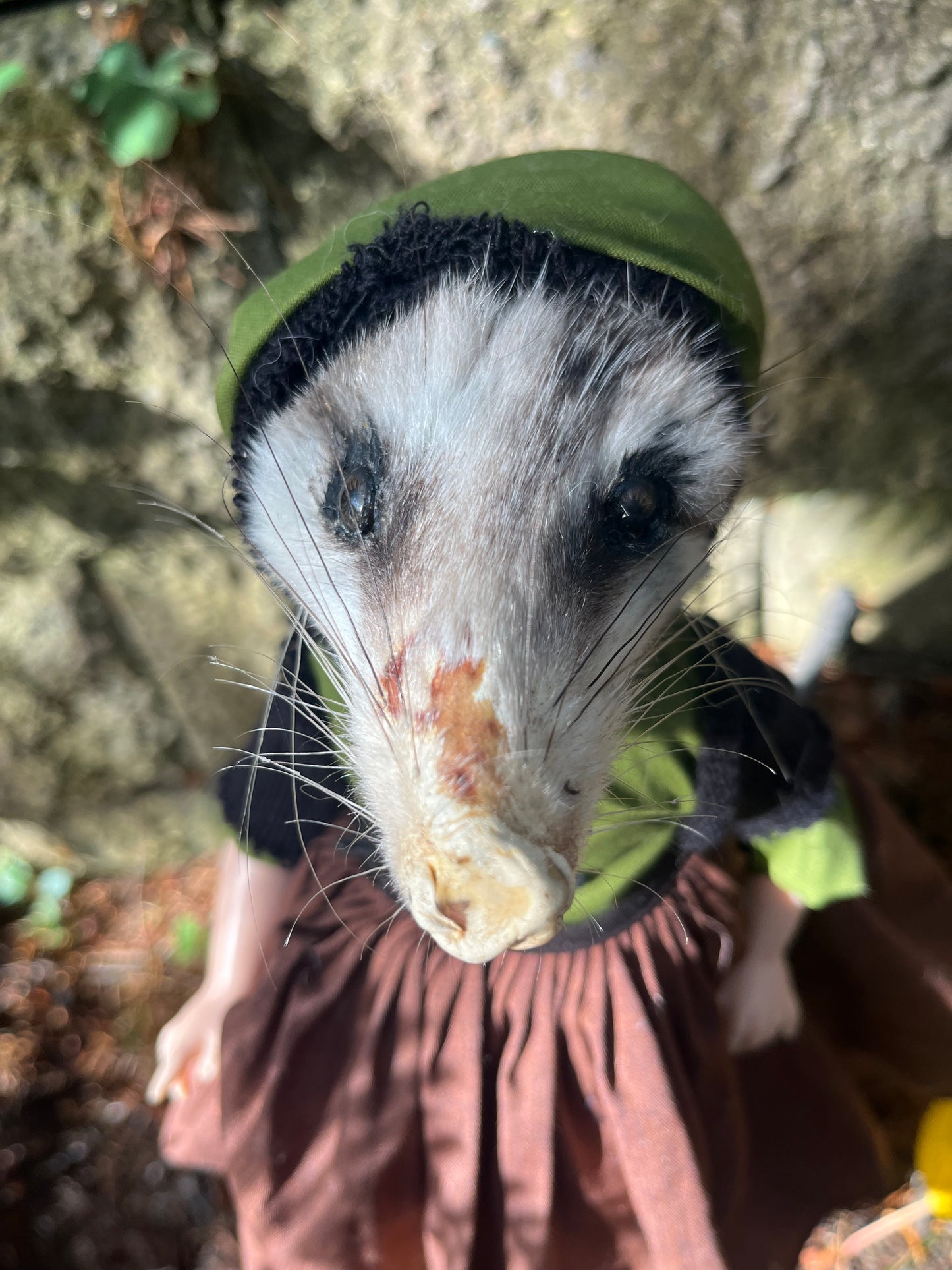 Esmeralda Opossum
