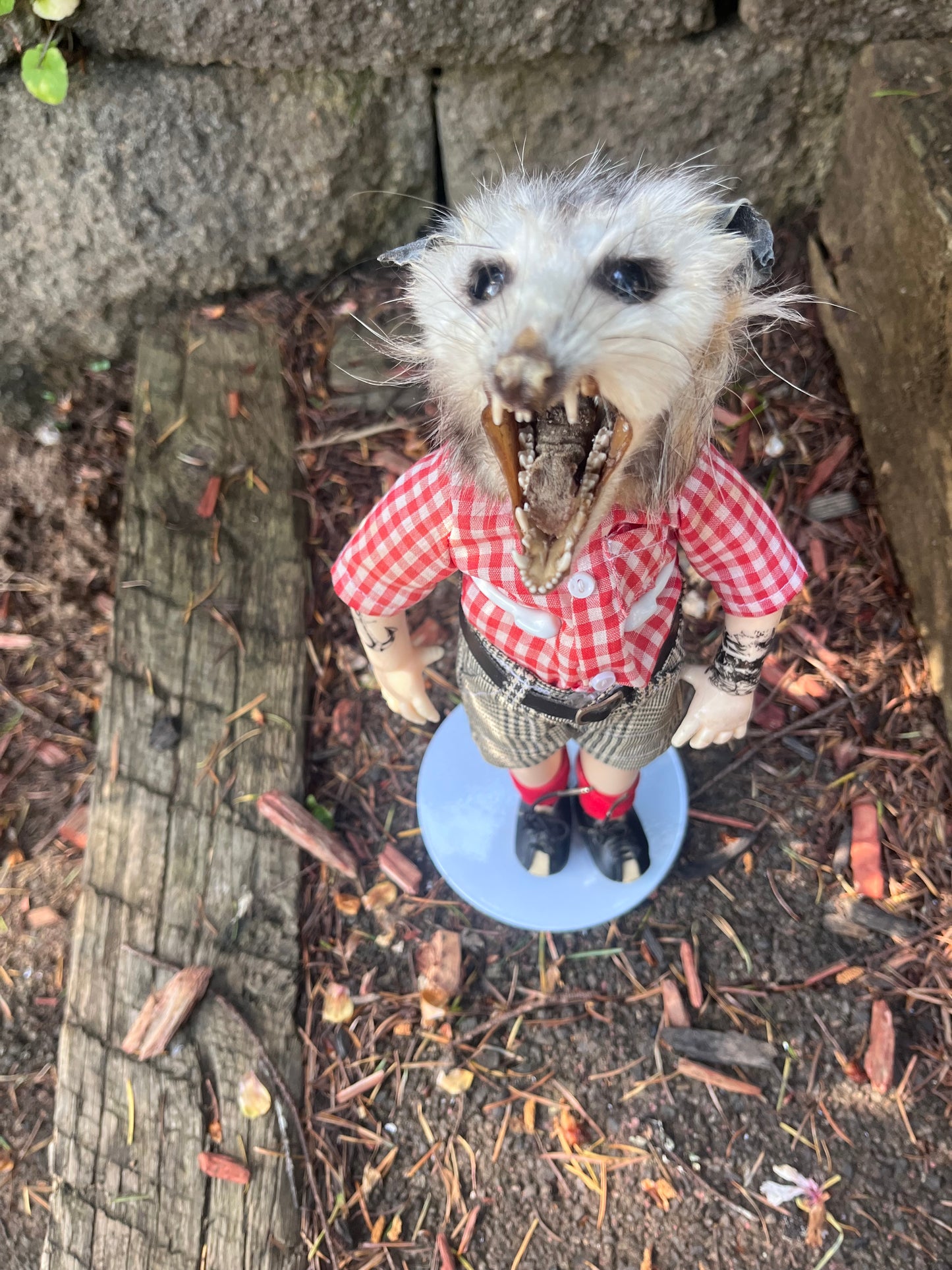 Hardcore opossum