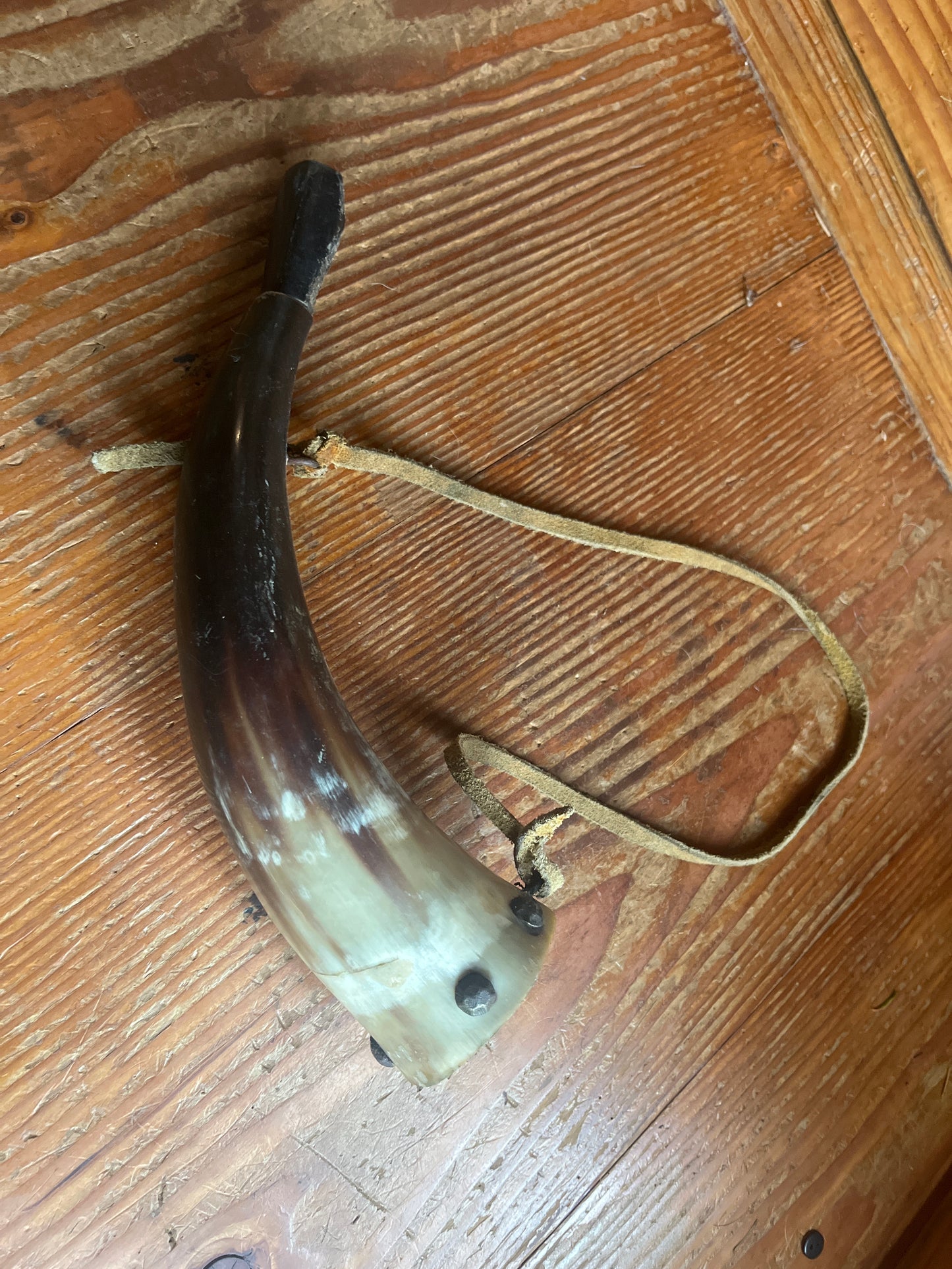 Vintage powder horn