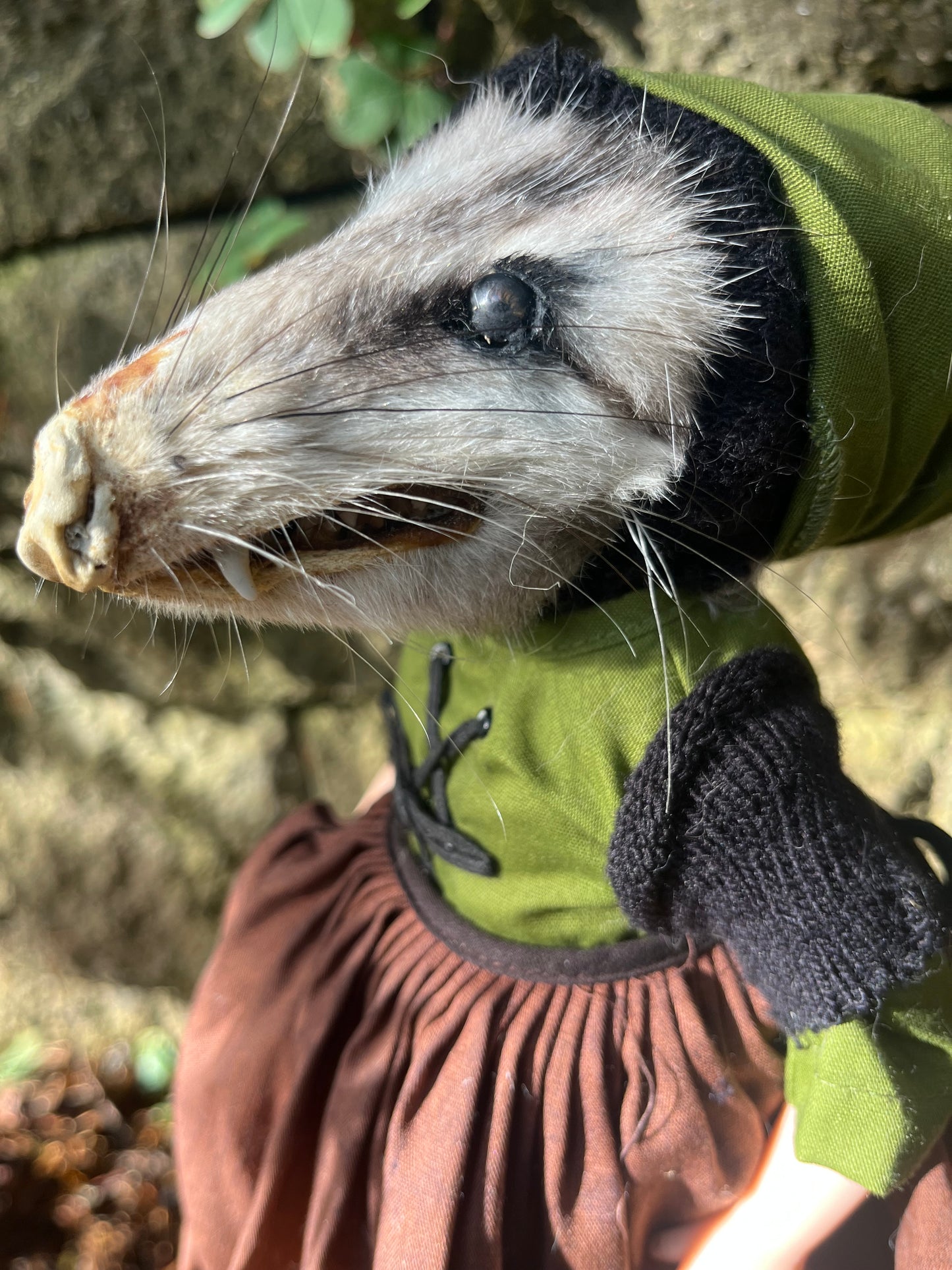 Esmeralda Opossum