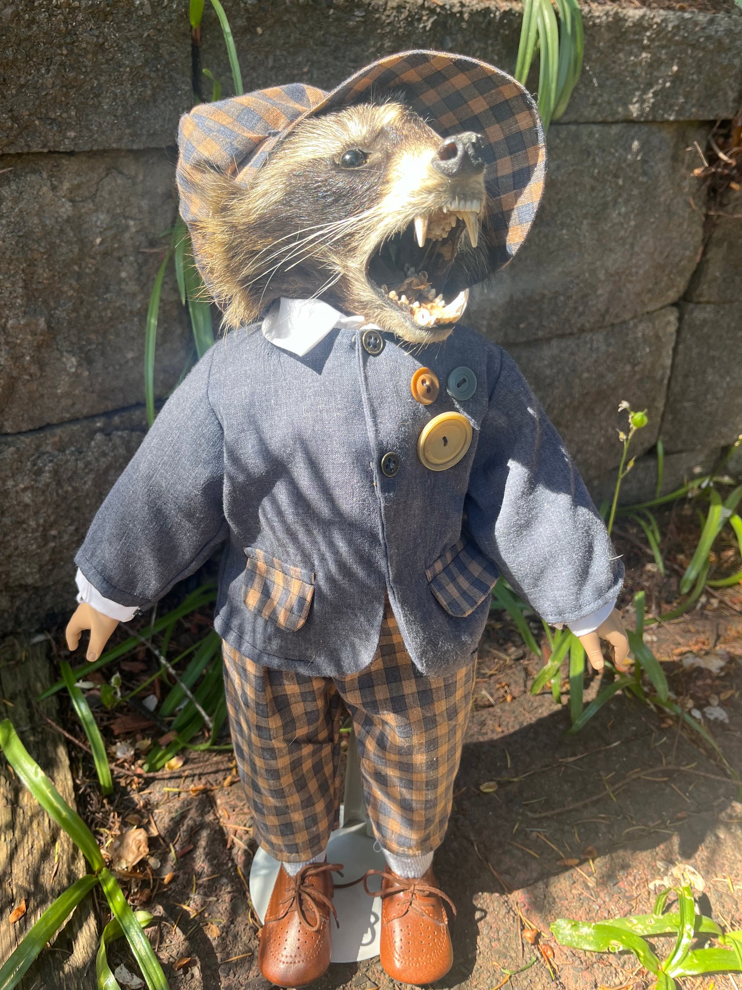 Dapper raccoon