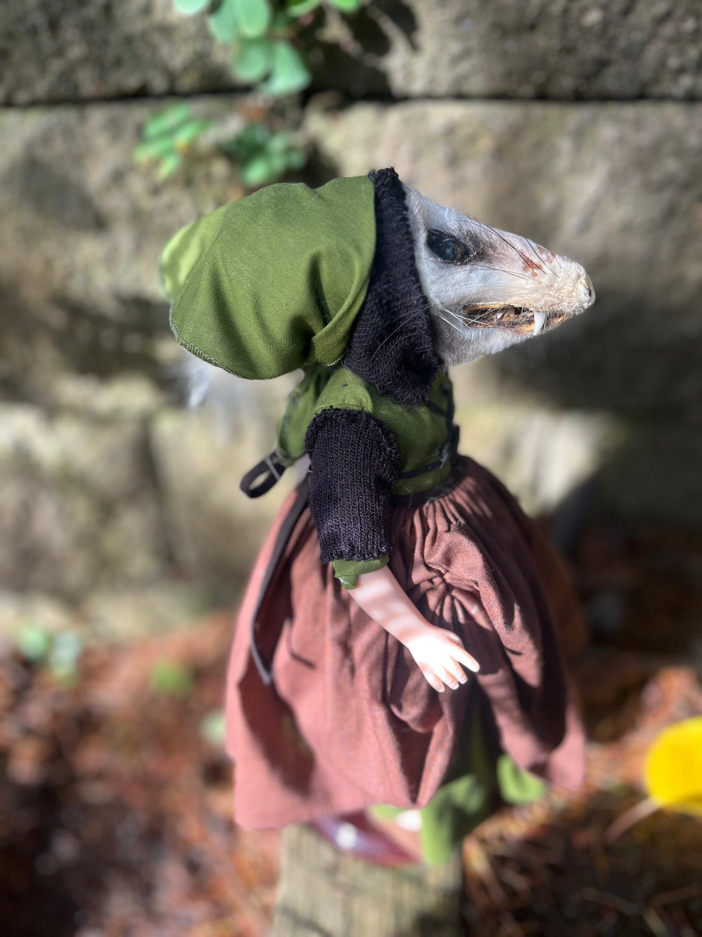 Esmeralda Opossum