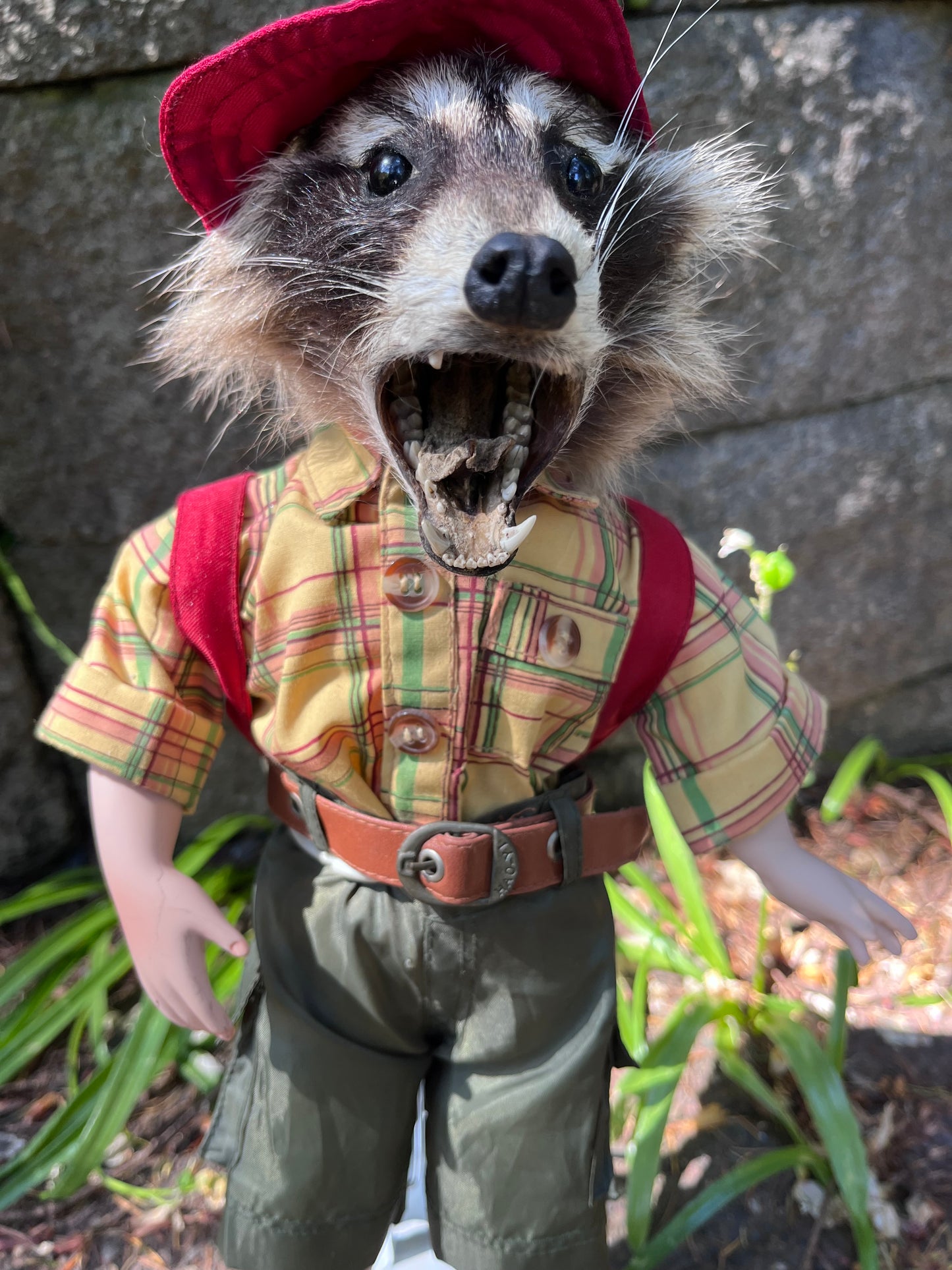 Lil camper raccoon