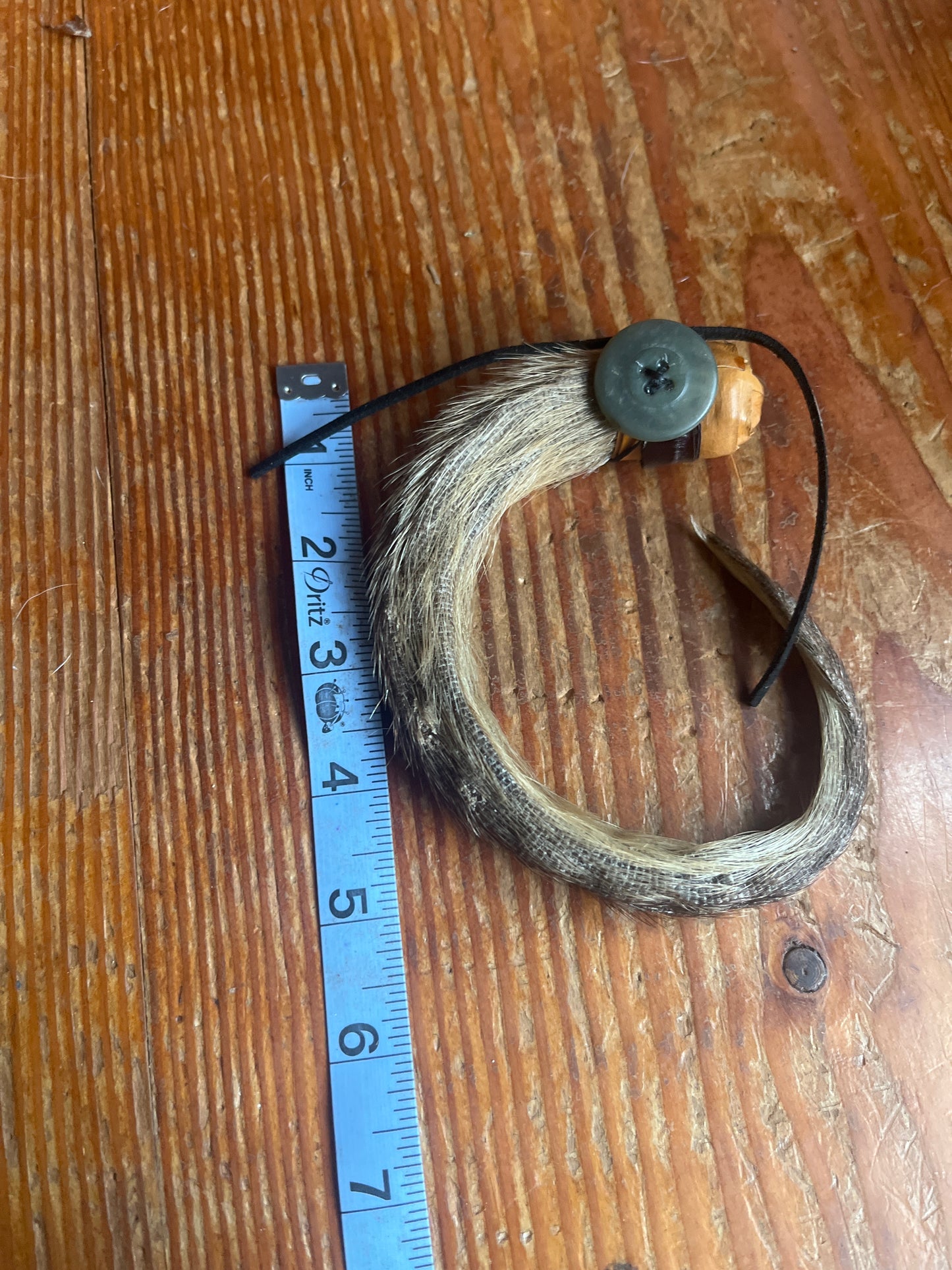 Dried Opossum tail