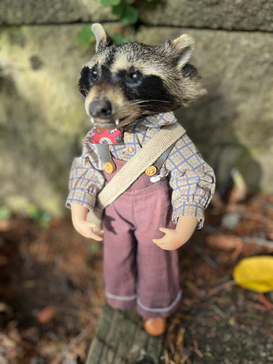 Old school raccoon