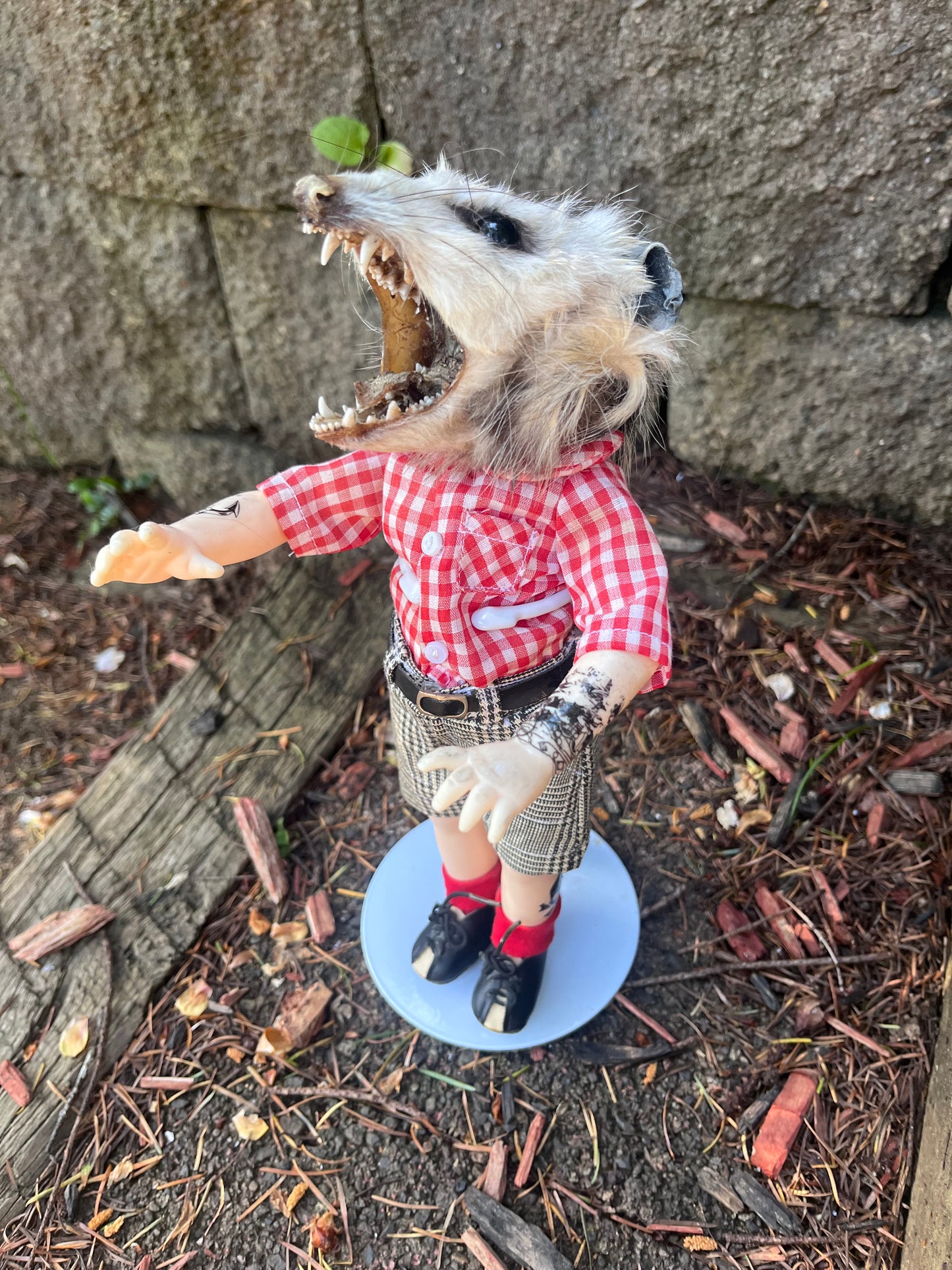 Hardcore opossum